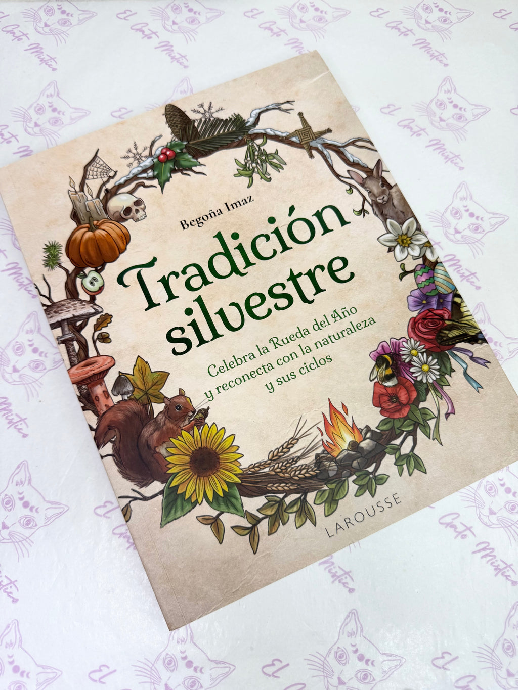 Tradición Silvestre | Celebra la Rueda del Año y te conecta con la naturaleza y sus ciclos
