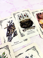 La Bruja Verde | El Oráculo