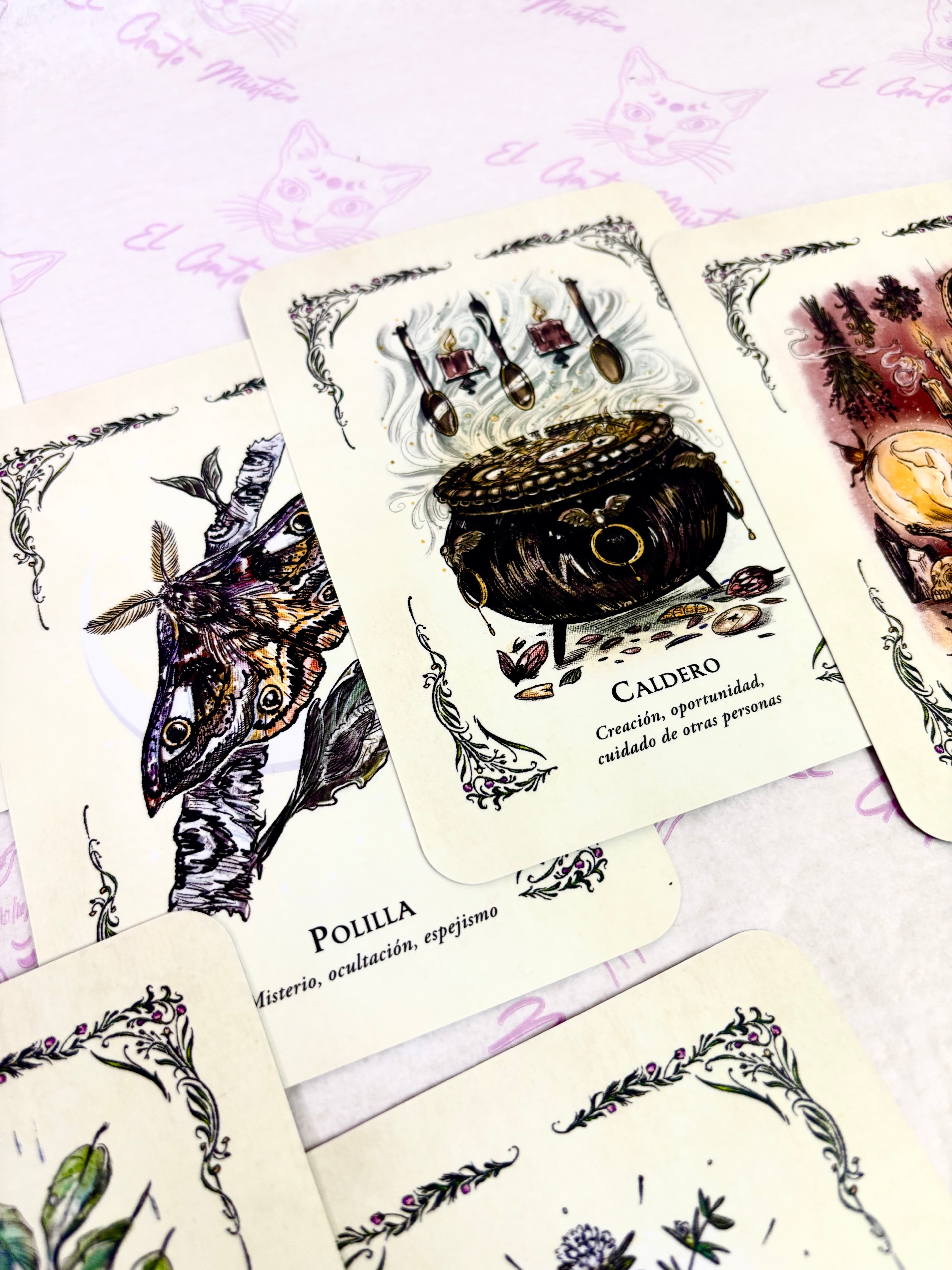 La Bruja Verde | El Oráculo