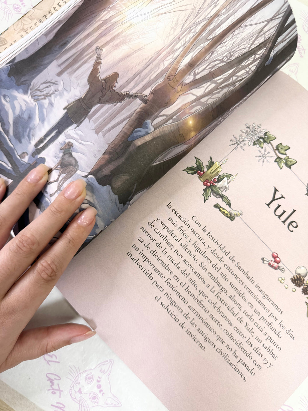 Tradición Silvestre | Celebra la Rueda del Año y te conecta con la naturaleza y sus ciclos