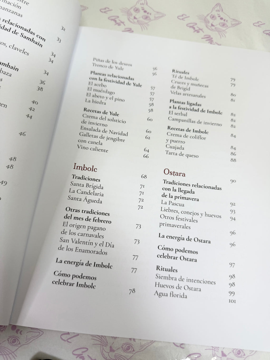 Tradición Silvestre | Celebra la Rueda del Año y te conecta con la naturaleza y sus ciclos