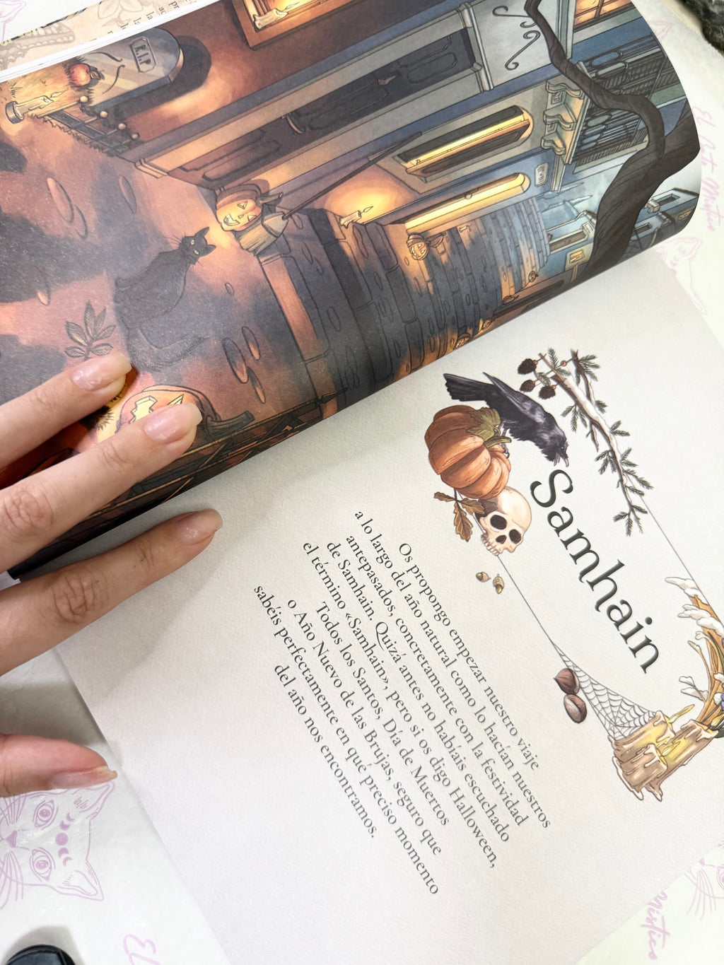 Tradición Silvestre | Celebra la Rueda del Año y te conecta con la naturaleza y sus ciclos