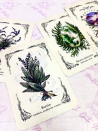 La Bruja Verde | El Oráculo