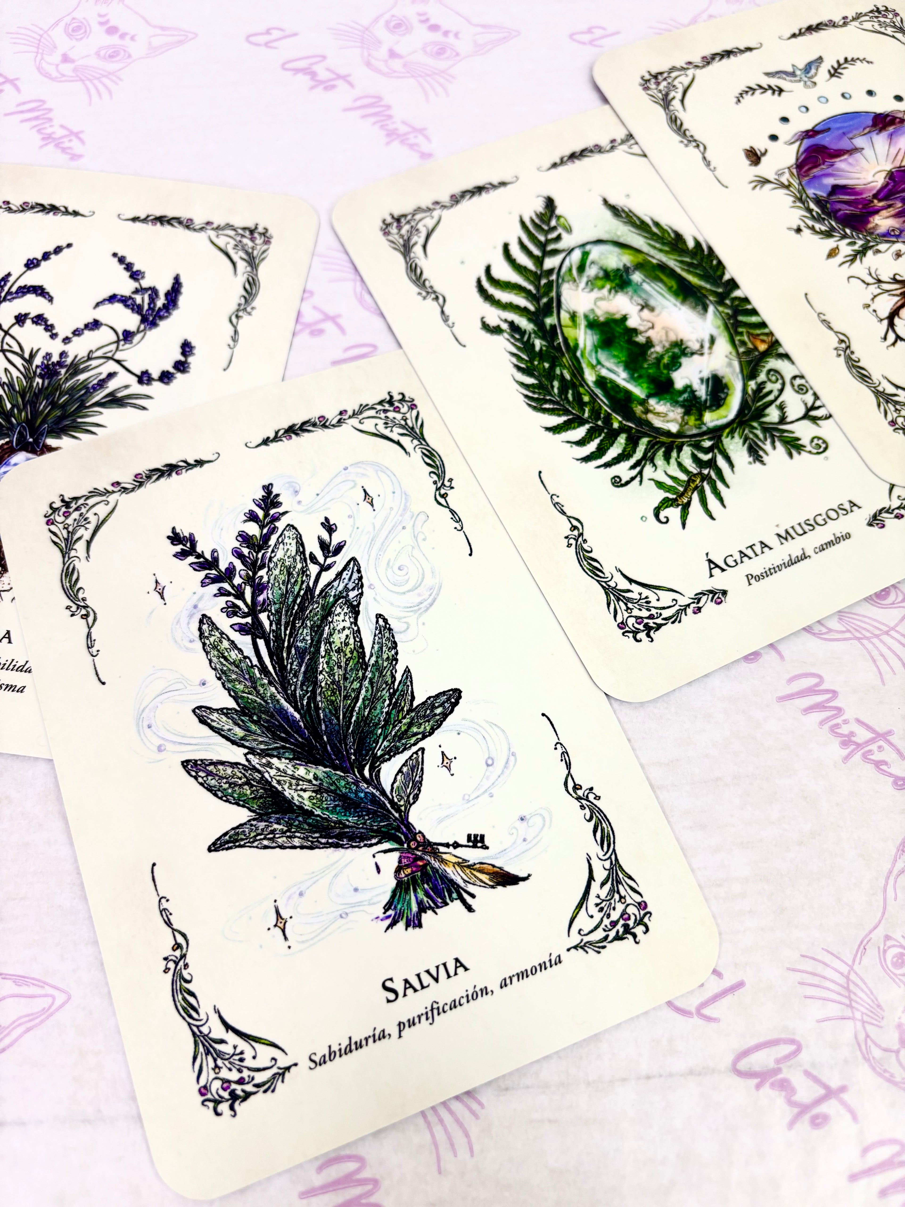 La Bruja Verde | El Oráculo