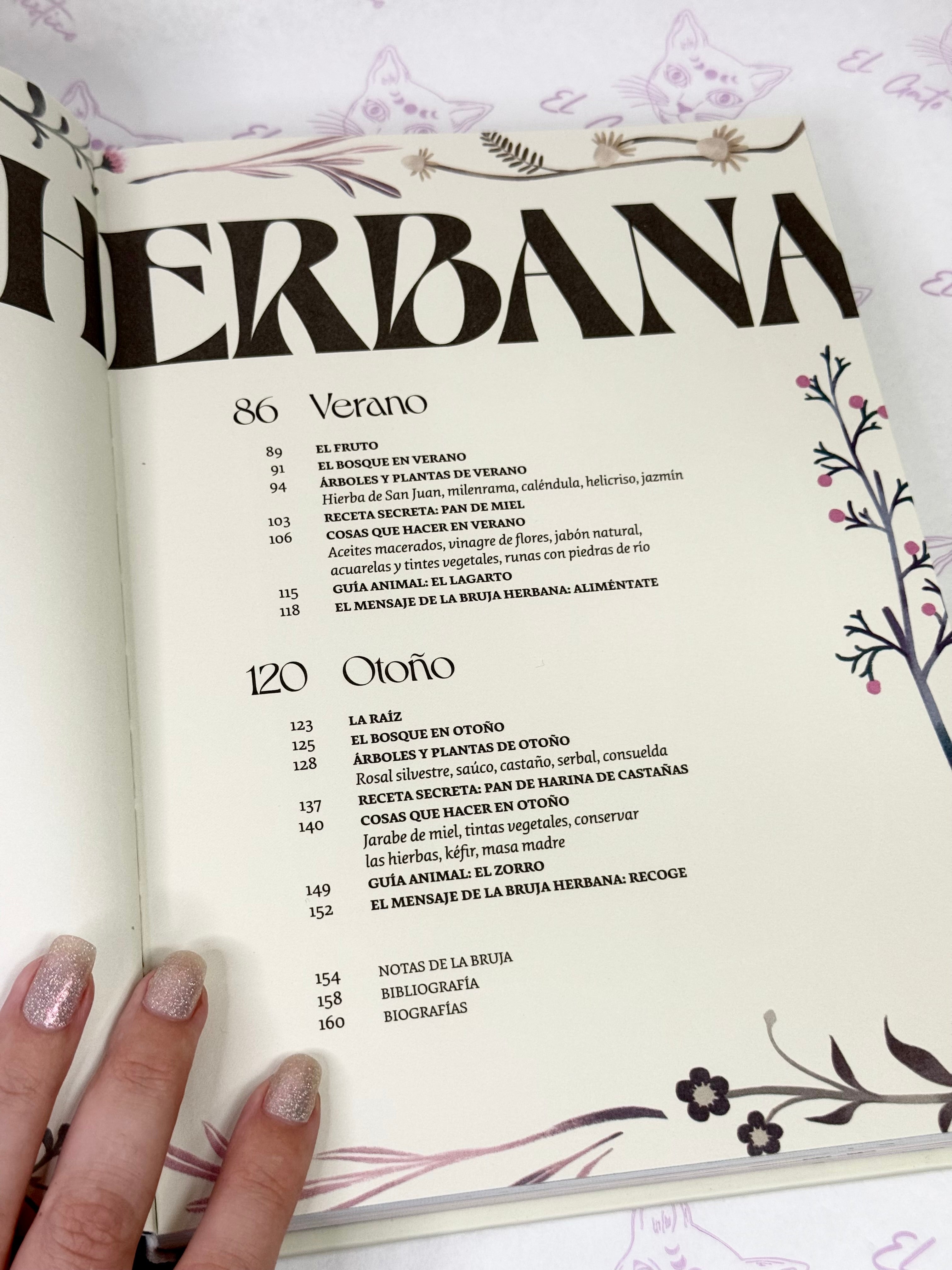 Herbana | La naturaleza Mística del Bosque