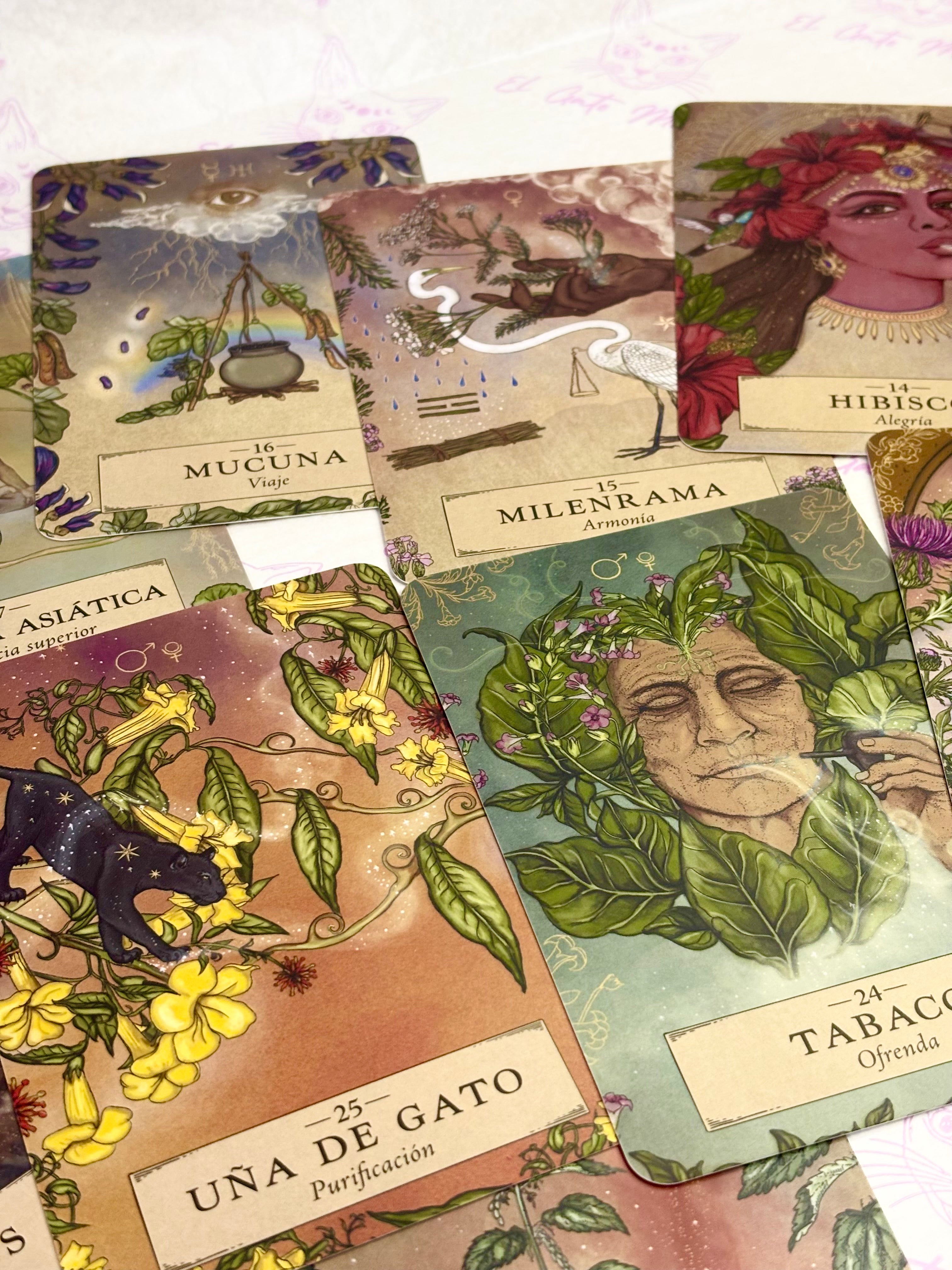 Astrología Herbal | Oráculo
