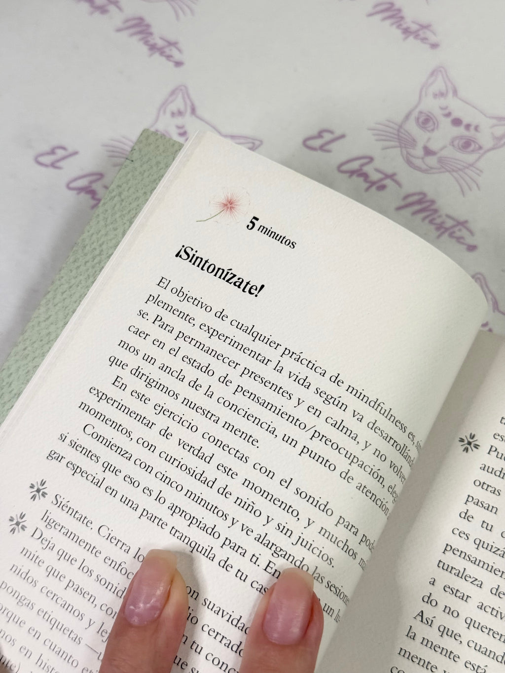 El pequeño Libro del Mindfulness | 10 minutos al día para reencontrarse con la vida