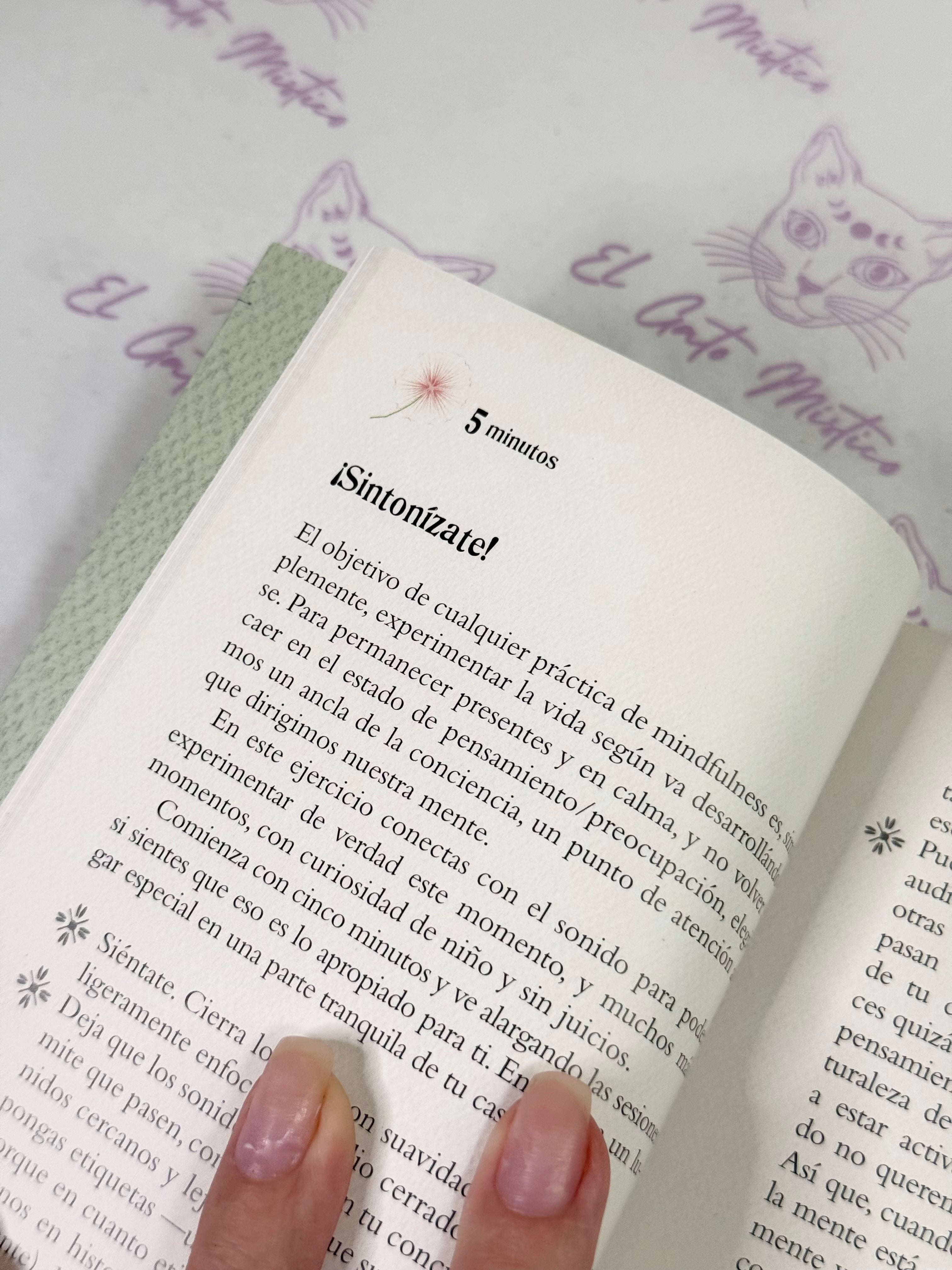 El pequeño Libro del Mindfulness | 10 minutos al día para reencontrarse con la vida
