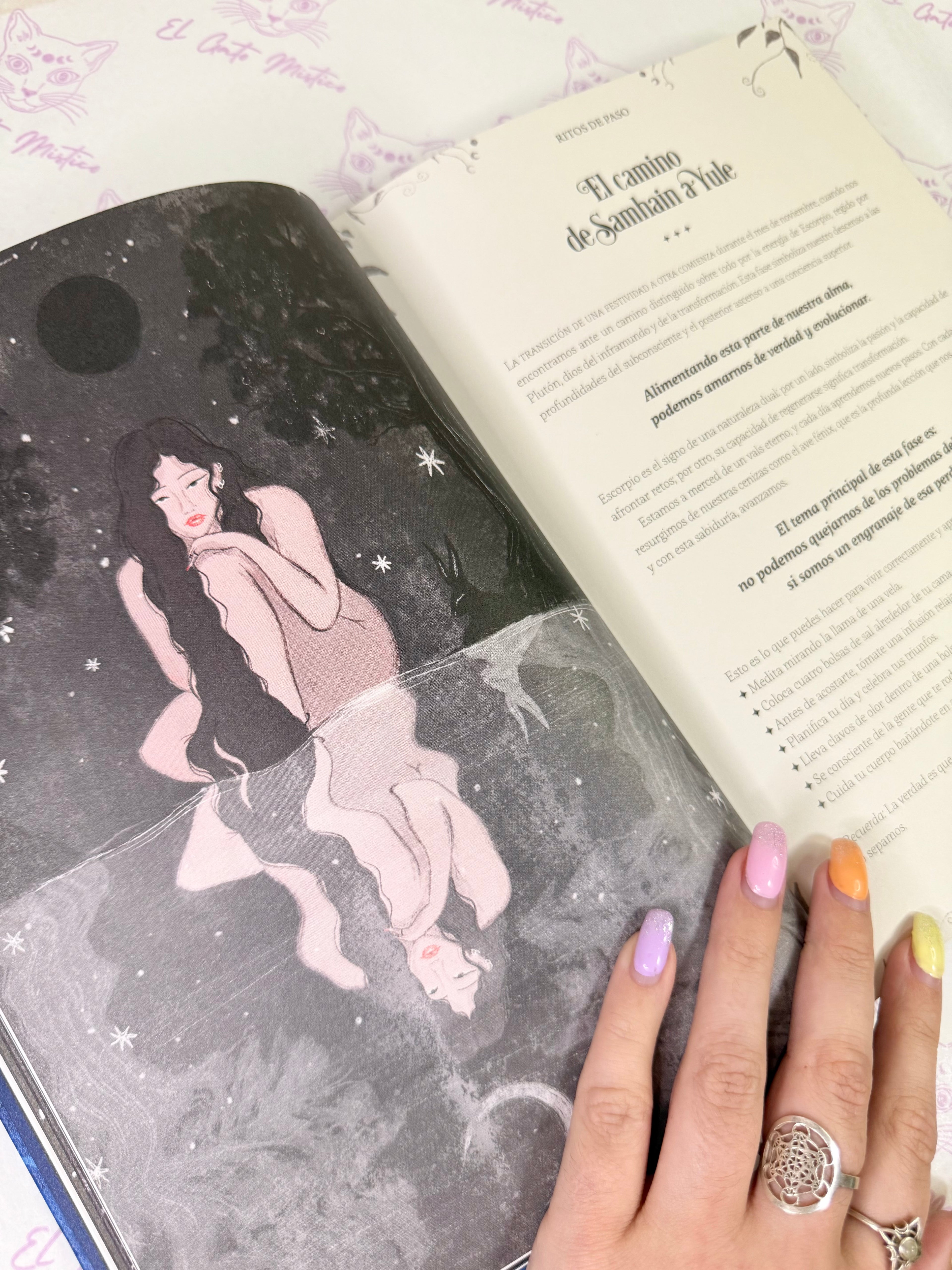 La Rueda del Año de la Bruja | Prácticas Mágicas y Festividades de Brujas