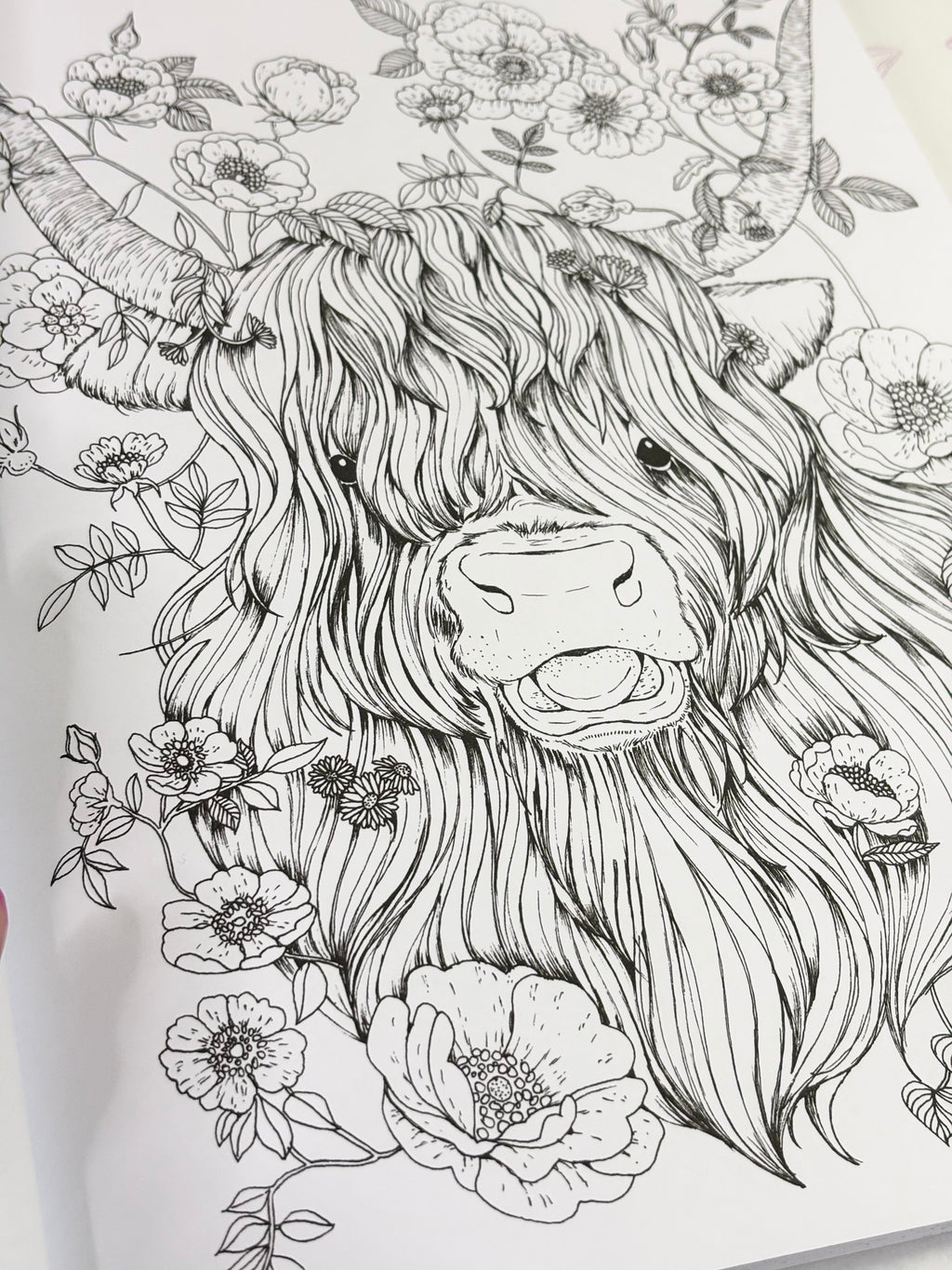 Astrología para Colorear