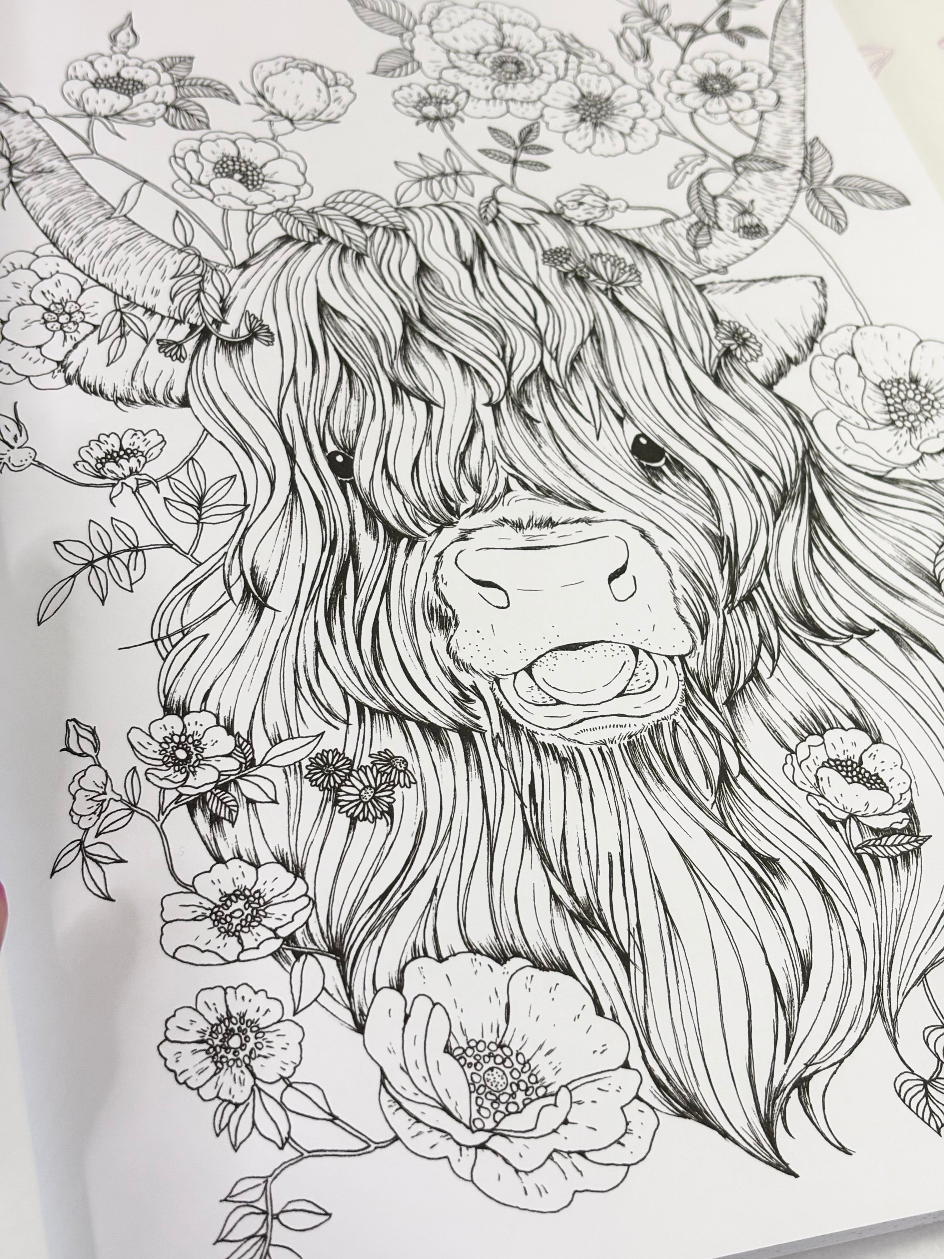 Astrología para Colorear