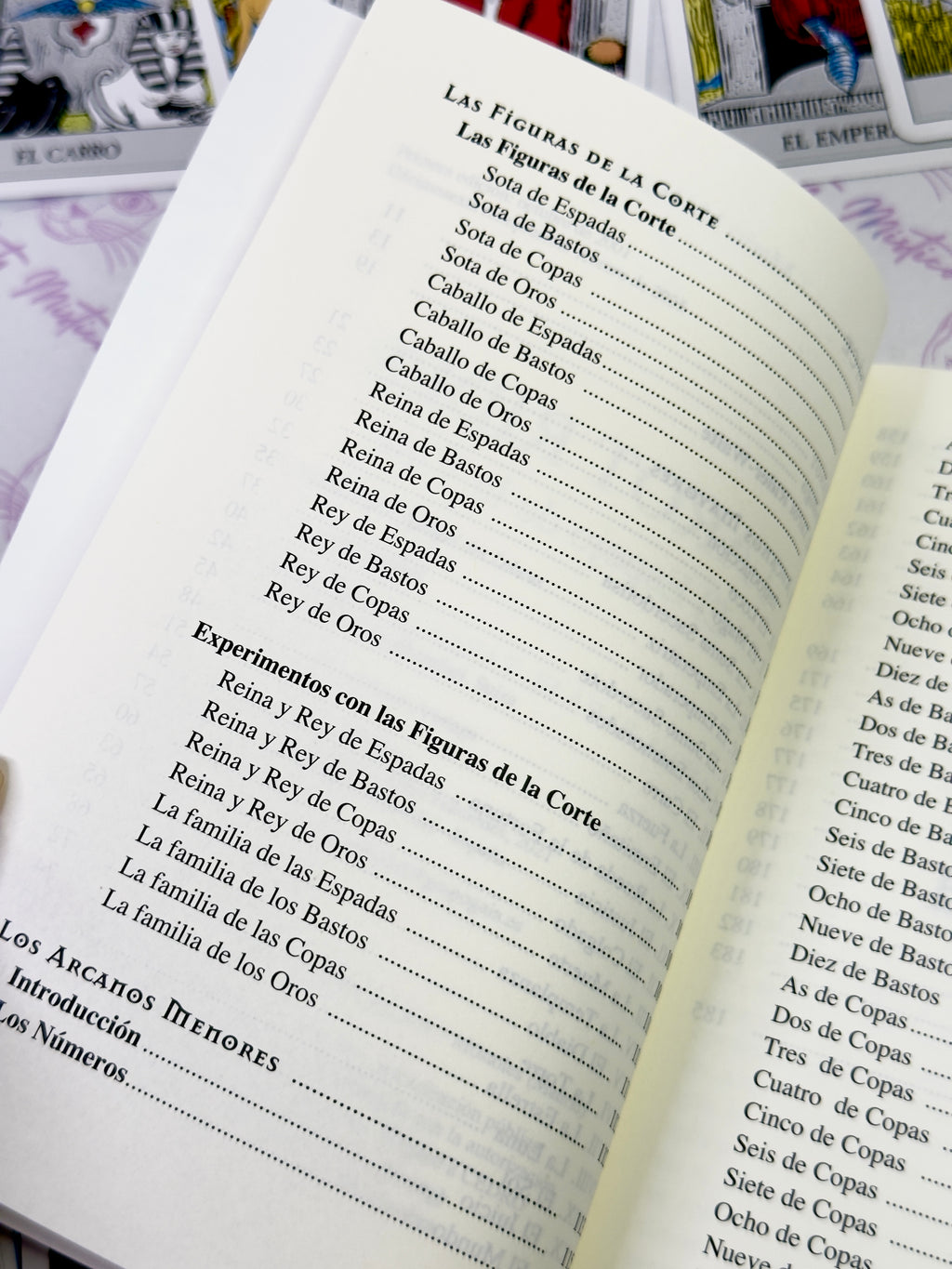 Tarot Rider el Espejo de la Vida | Libro y 78 cartas