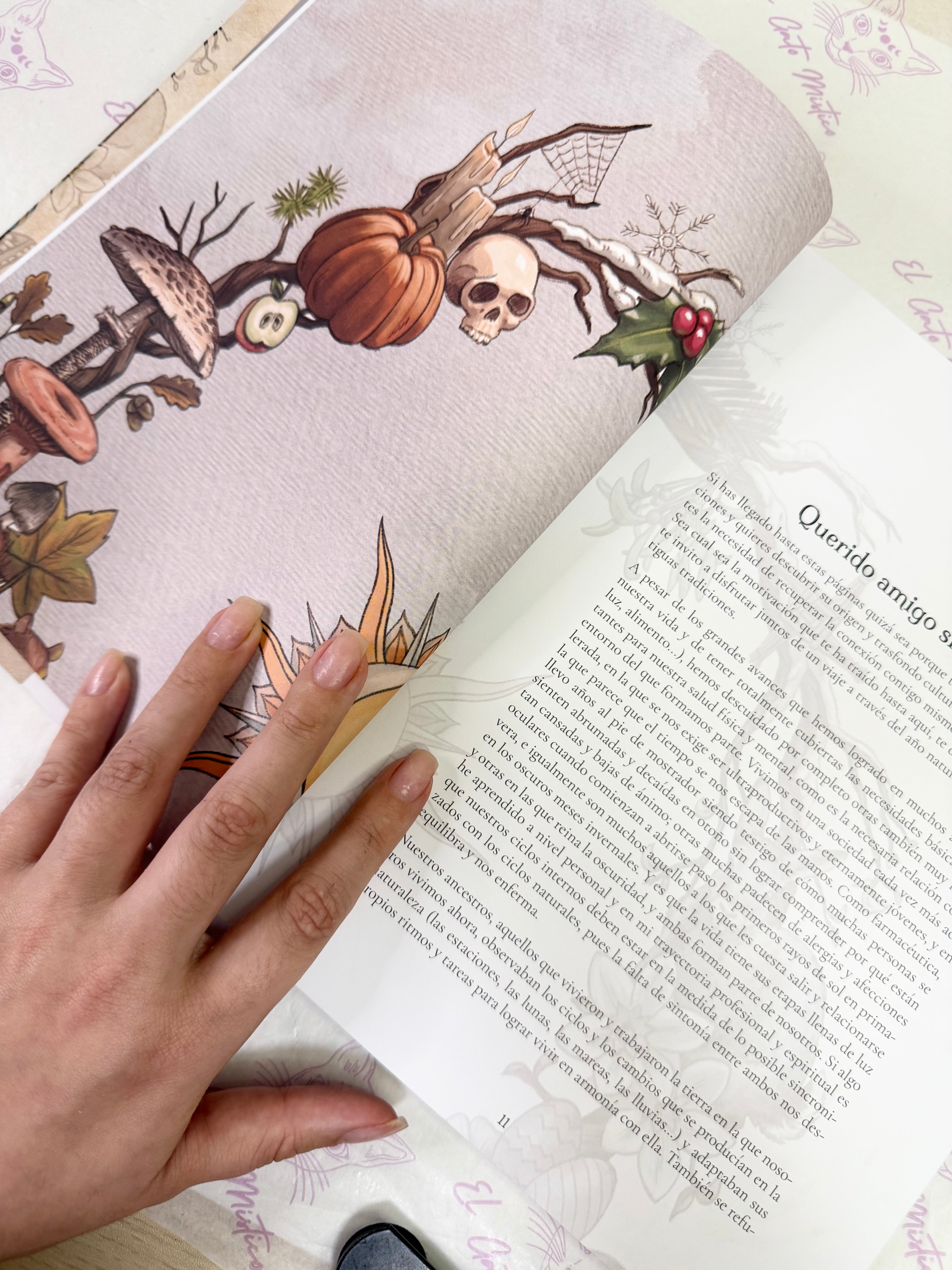 Tradición Silvestre | Celebra la Rueda del Año y te conecta con la naturaleza y sus ciclos