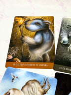 Oráculo En el Bosque Solitario | Bendiciones y Mensajes para momentos de soledad