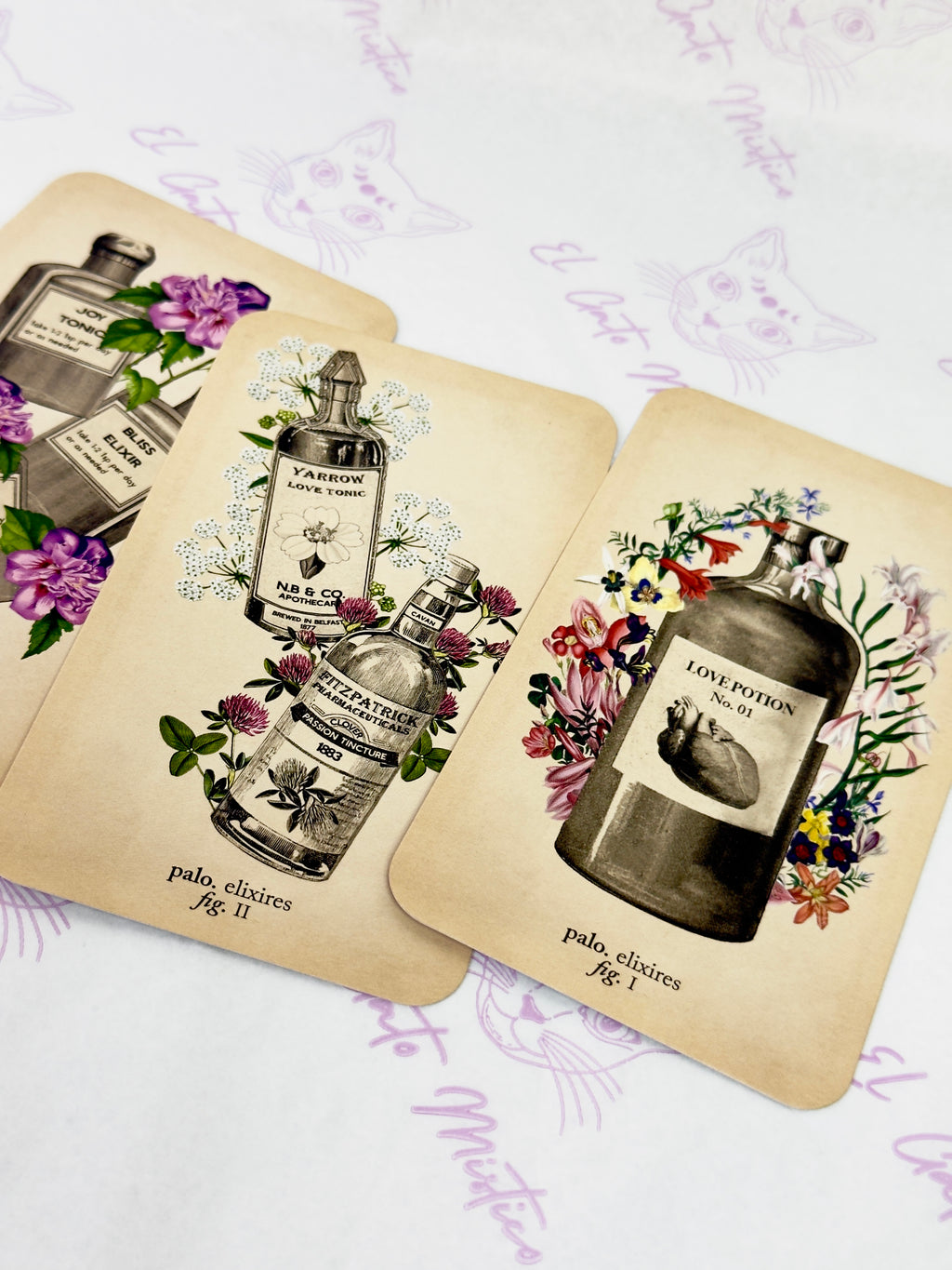 El Tarot de Anatomía y Botánica Antiguas | Baraja y Manual para el Lector Moderno