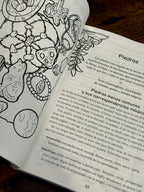 El cuaderno de las sombras de la Bruja Ecléctica | Un manual mágico para tu práctica diaria