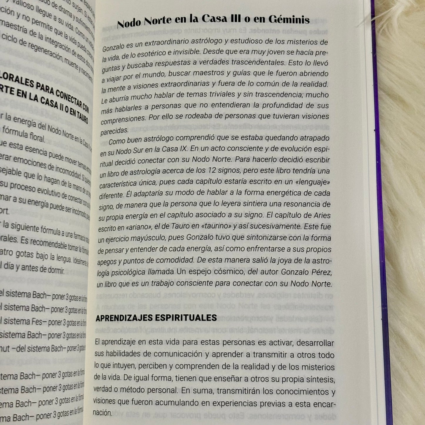 Descubre el Propósito de tu Alma: Encuentra el Sentido de tu Vida con tu Carta Natal