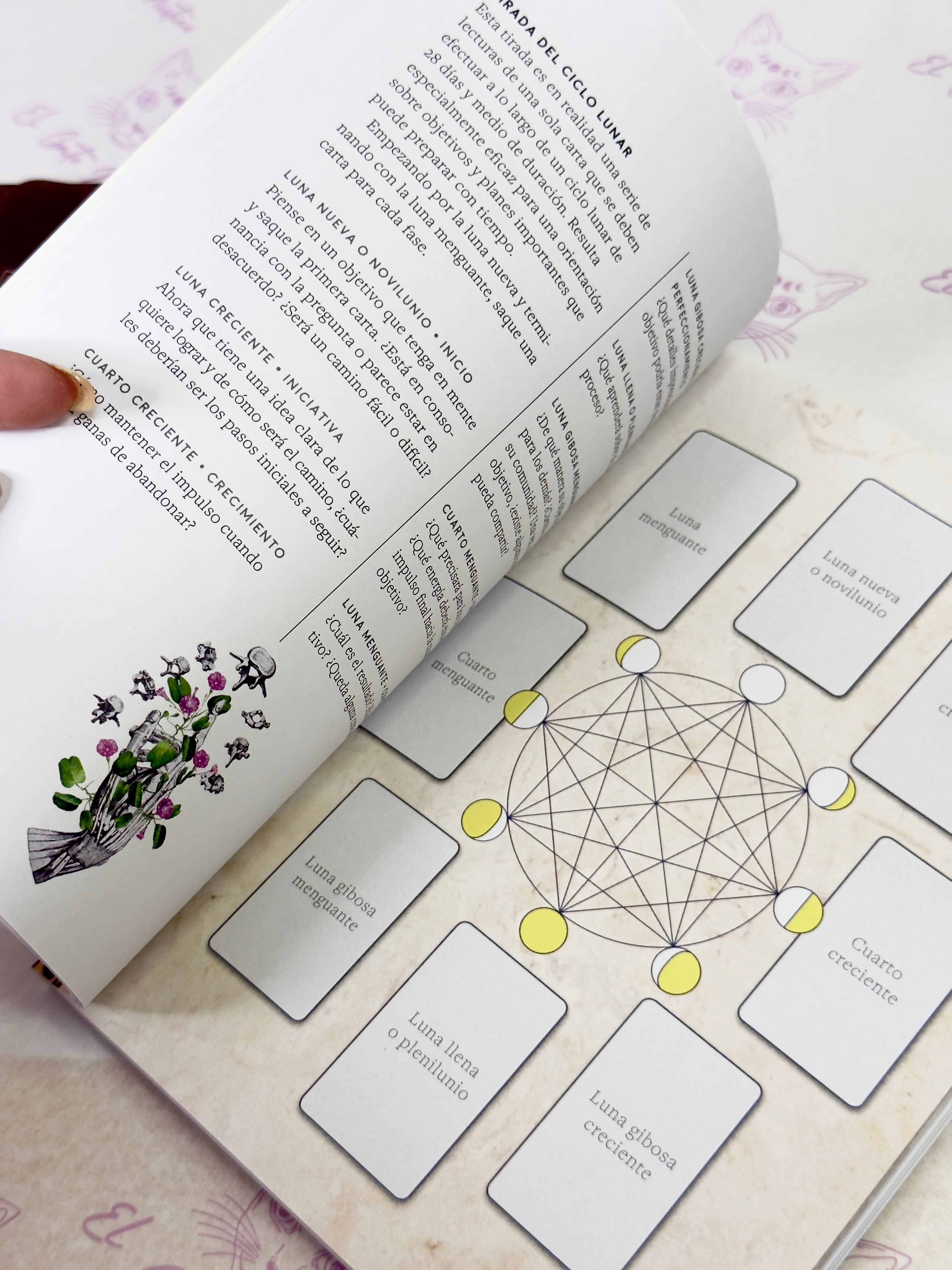 El Tarot de Anatomía y Botánica Antiguas | Baraja y Manual para el Lector Moderno