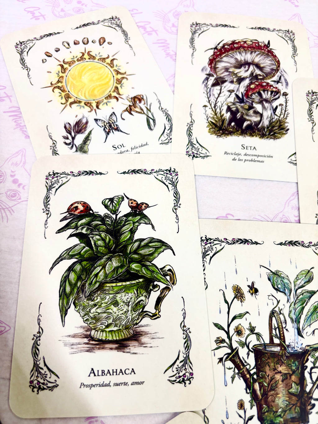 La Bruja Verde | El Oráculo