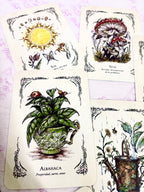 La Bruja Verde | El Oráculo