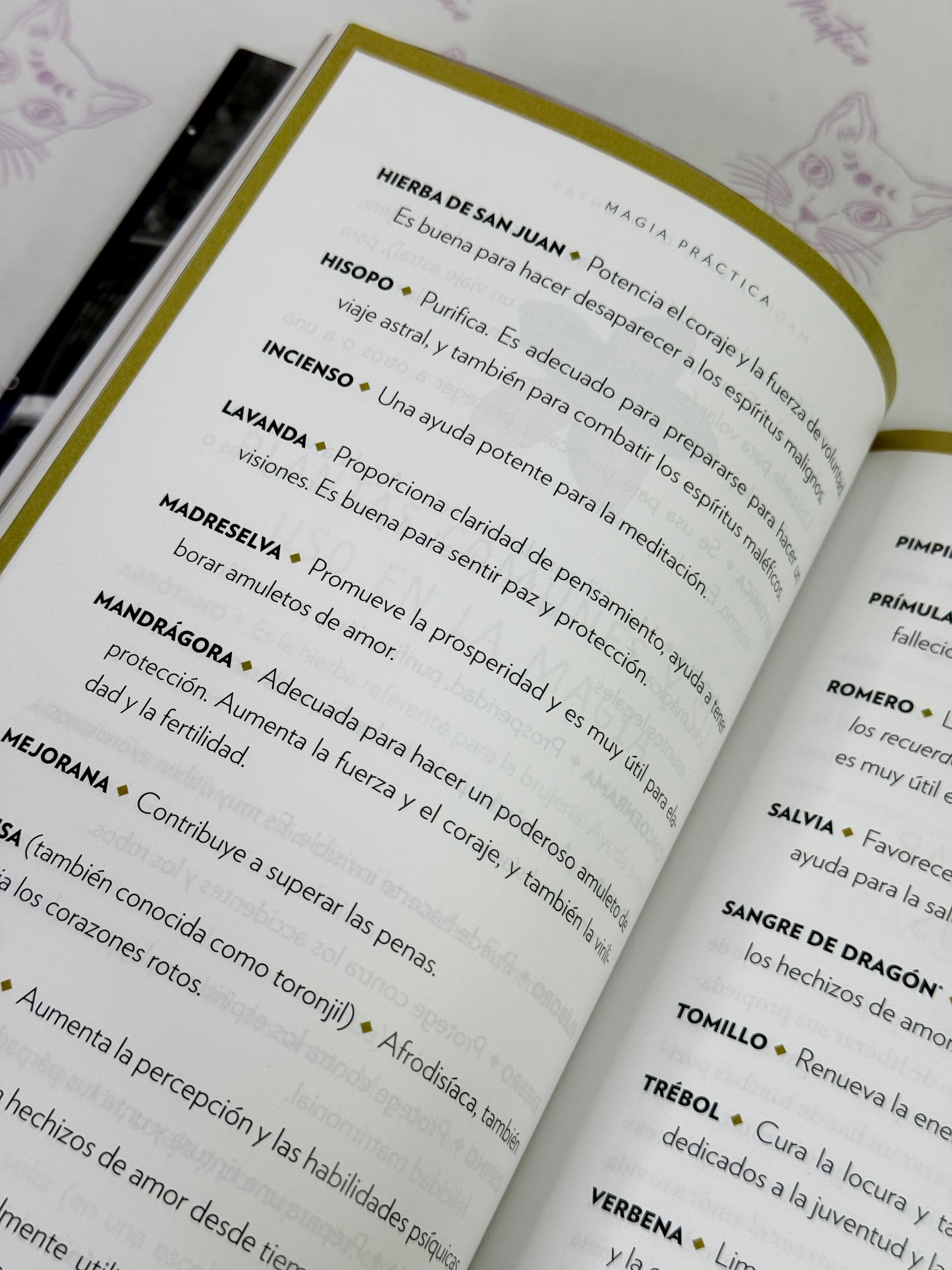 Magia Práctica | Una guía de iniciación a los Cristales, los Horóscopos, las Lecturas Psíquicas y los Hechizos