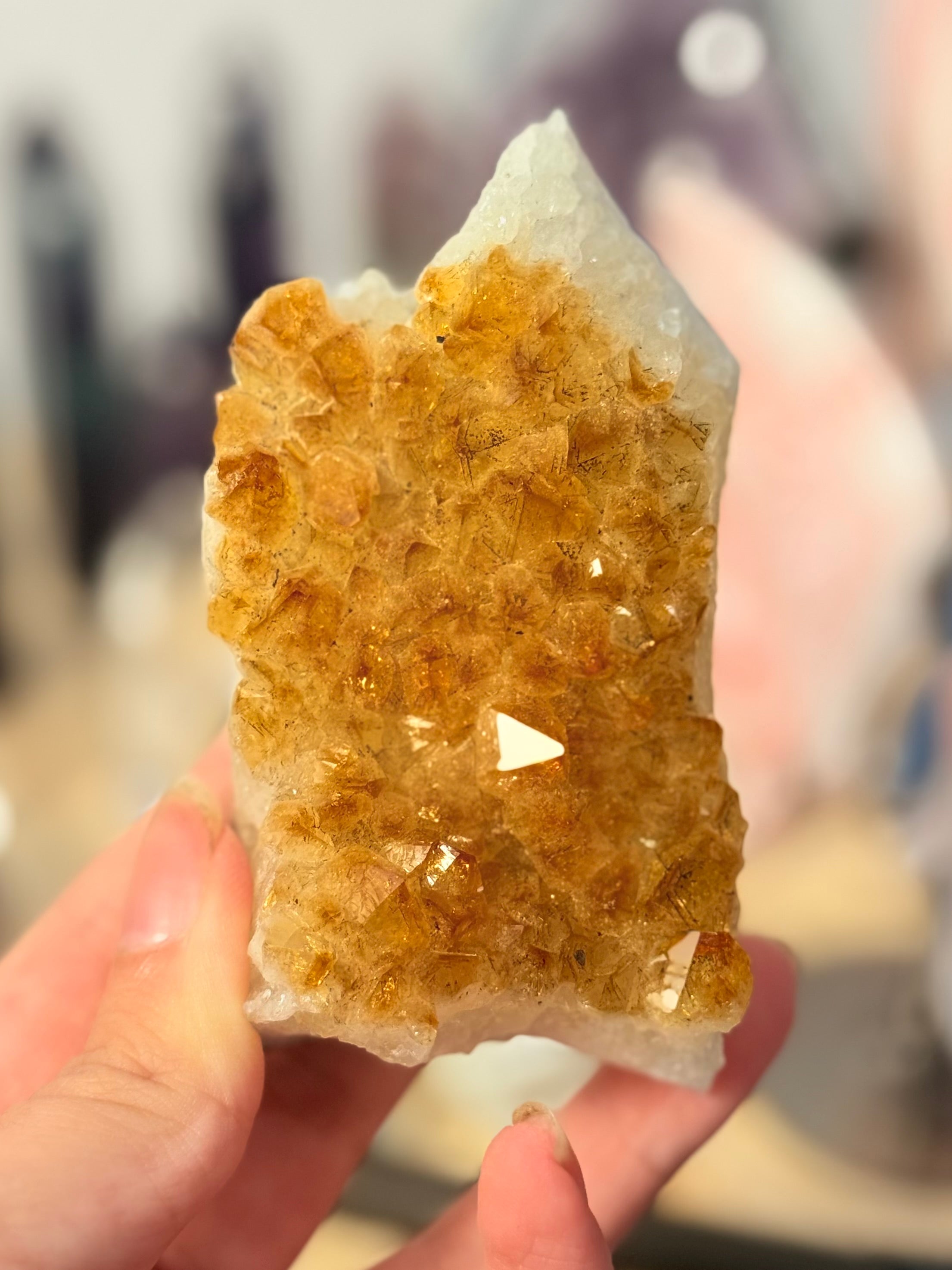 Drusa de Citrino Calentado | Abundancia y Prosperidad