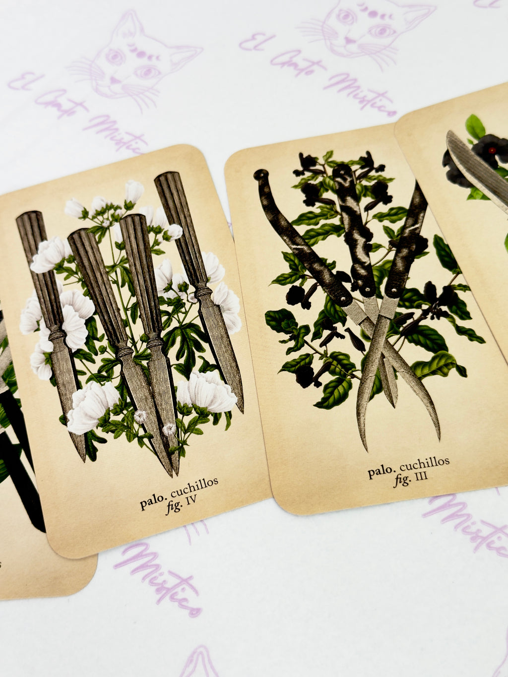 El Tarot de Anatomía y Botánica Antiguas | Baraja y Manual para el Lector Moderno