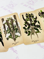 El Tarot de Anatomía y Botánica Antiguas | Baraja y Manual para el Lector Moderno