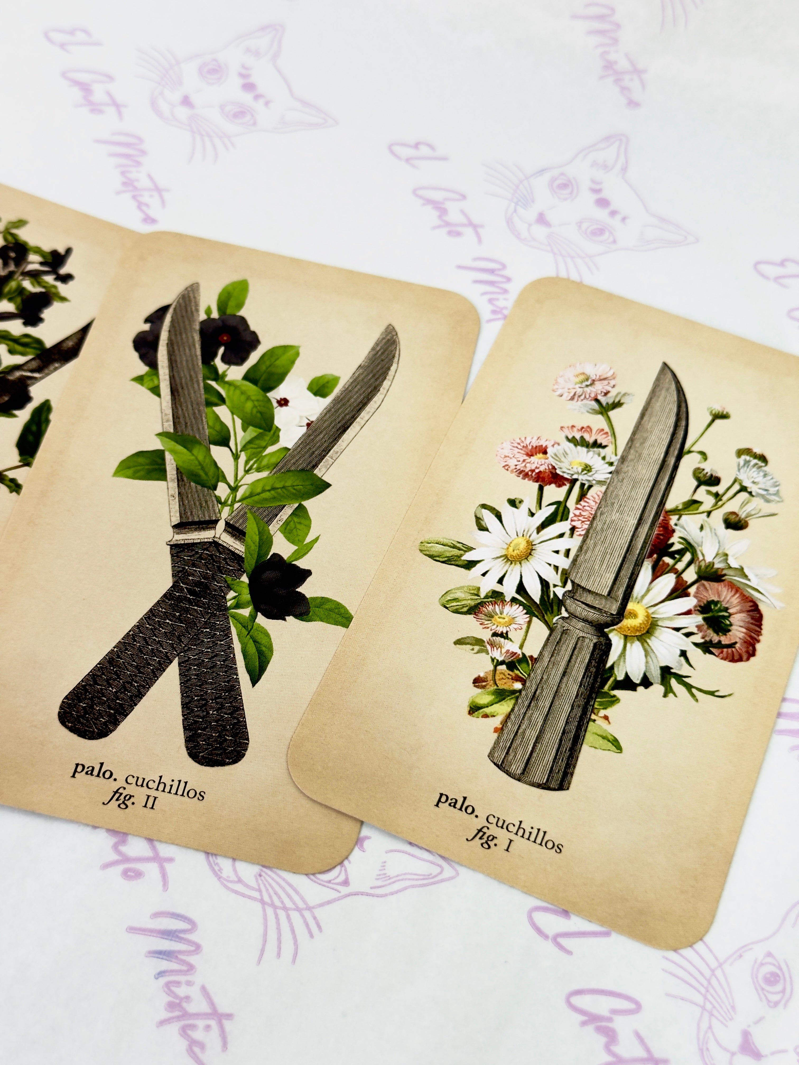 El Tarot de Anatomía y Botánica Antiguas | Baraja y Manual para el Lector Moderno