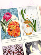 Tarot Floral | Guía + Cartas
