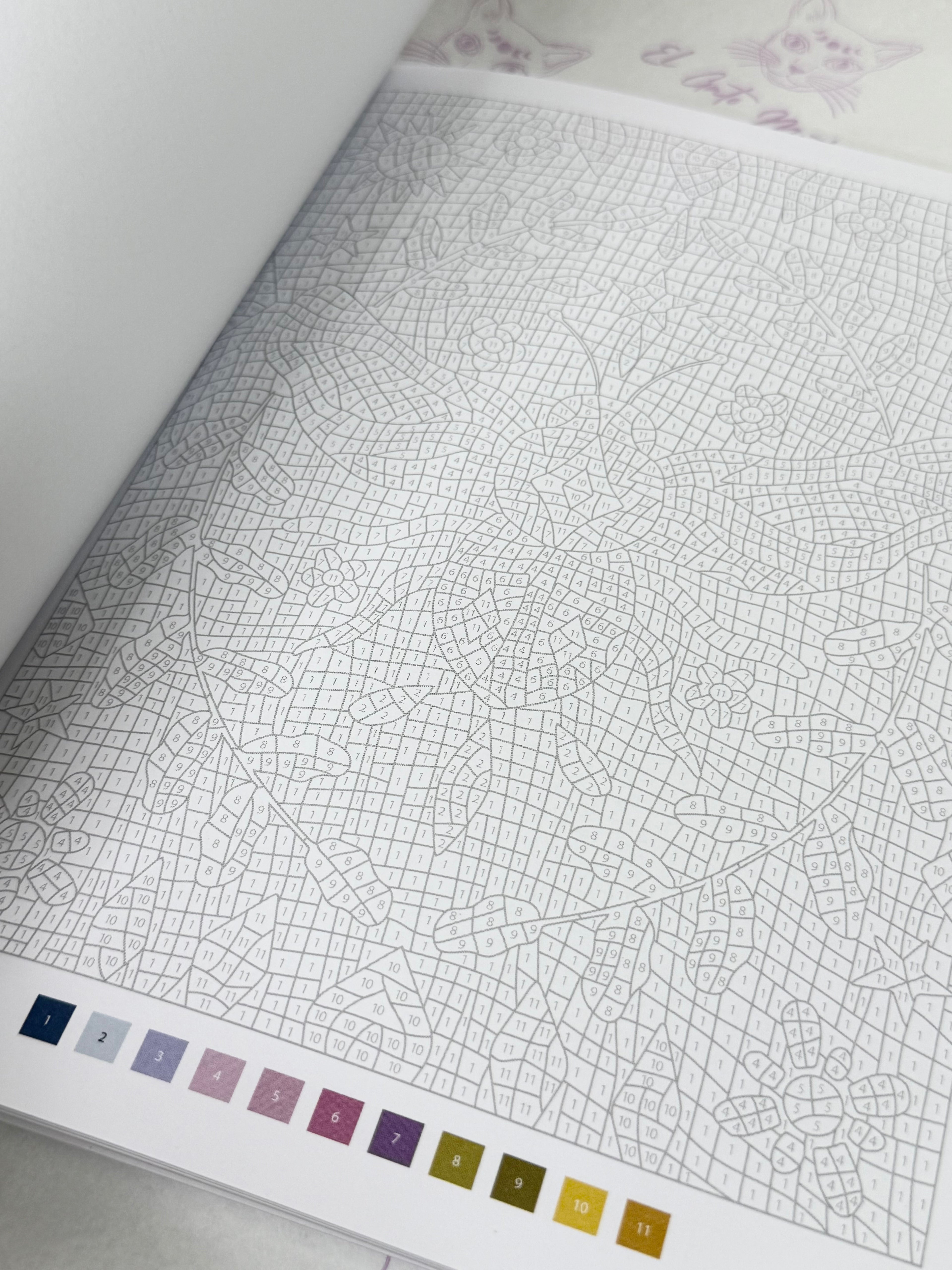 El Poder de las Brujas | 40 escenas misteriosas para colorear por números