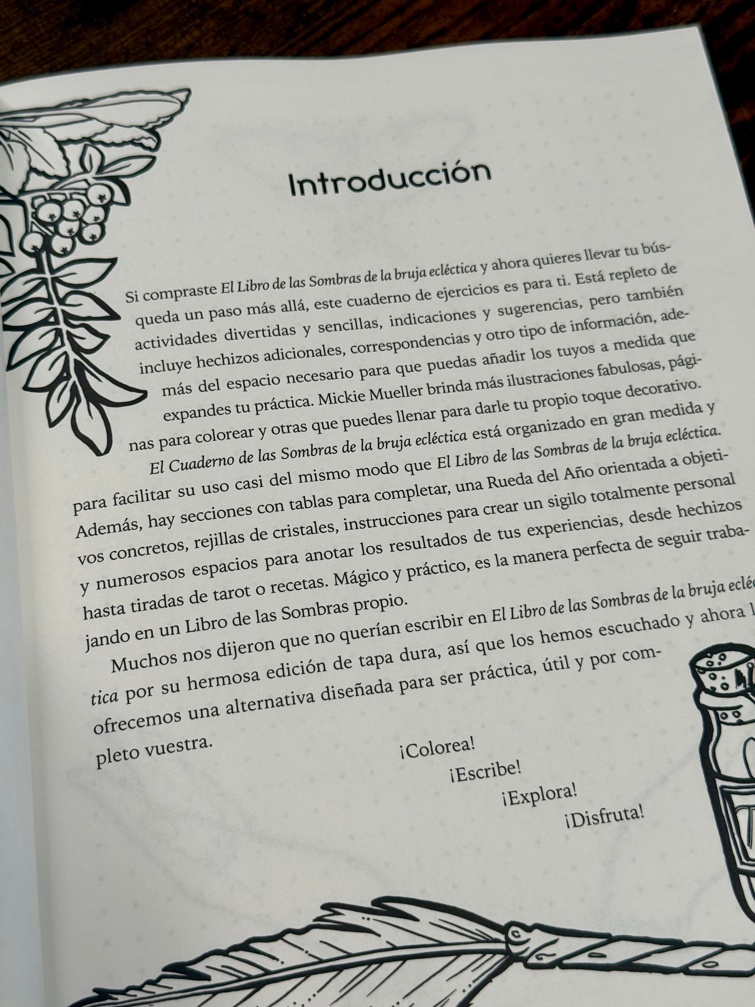 El cuaderno de las sombras de la Bruja Ecléctica | Un manual mágico para tu práctica diaria