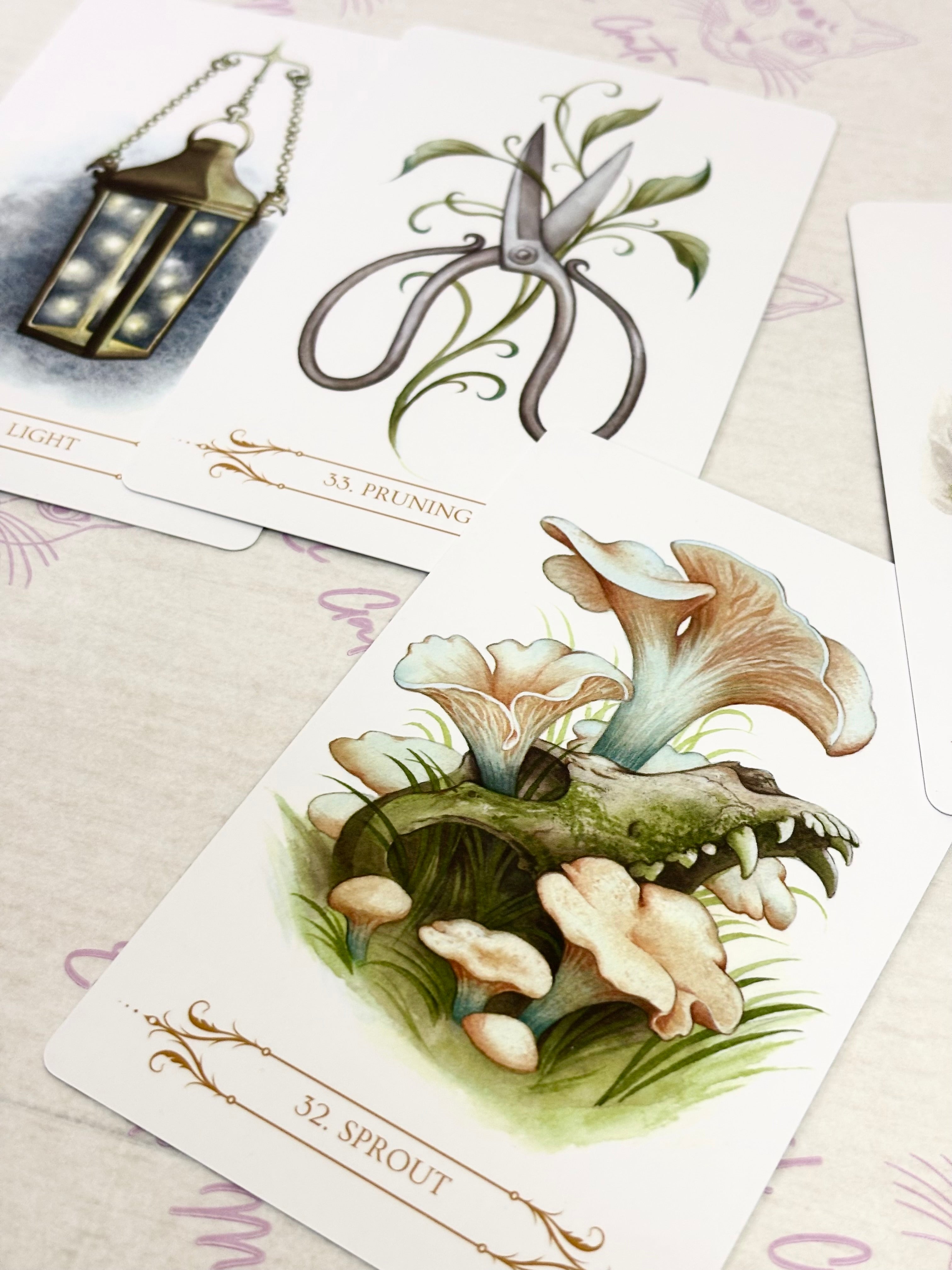 Oráculo A Compendium of Witches | Cartas+libro en 4 idiomas