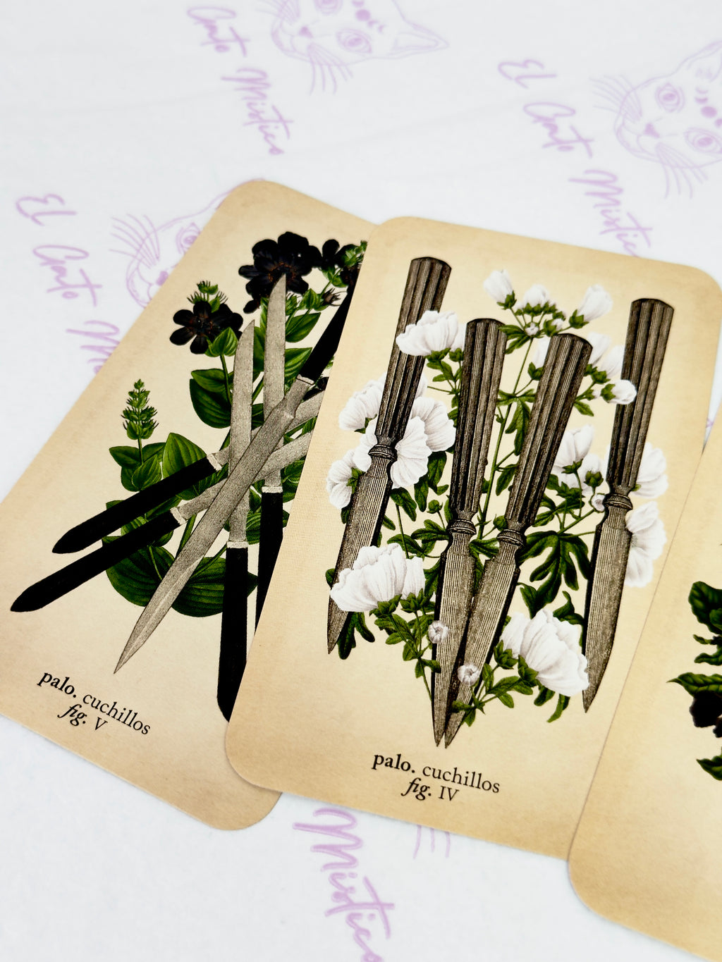 El Tarot de Anatomía y Botánica Antiguas | Baraja y Manual para el Lector Moderno