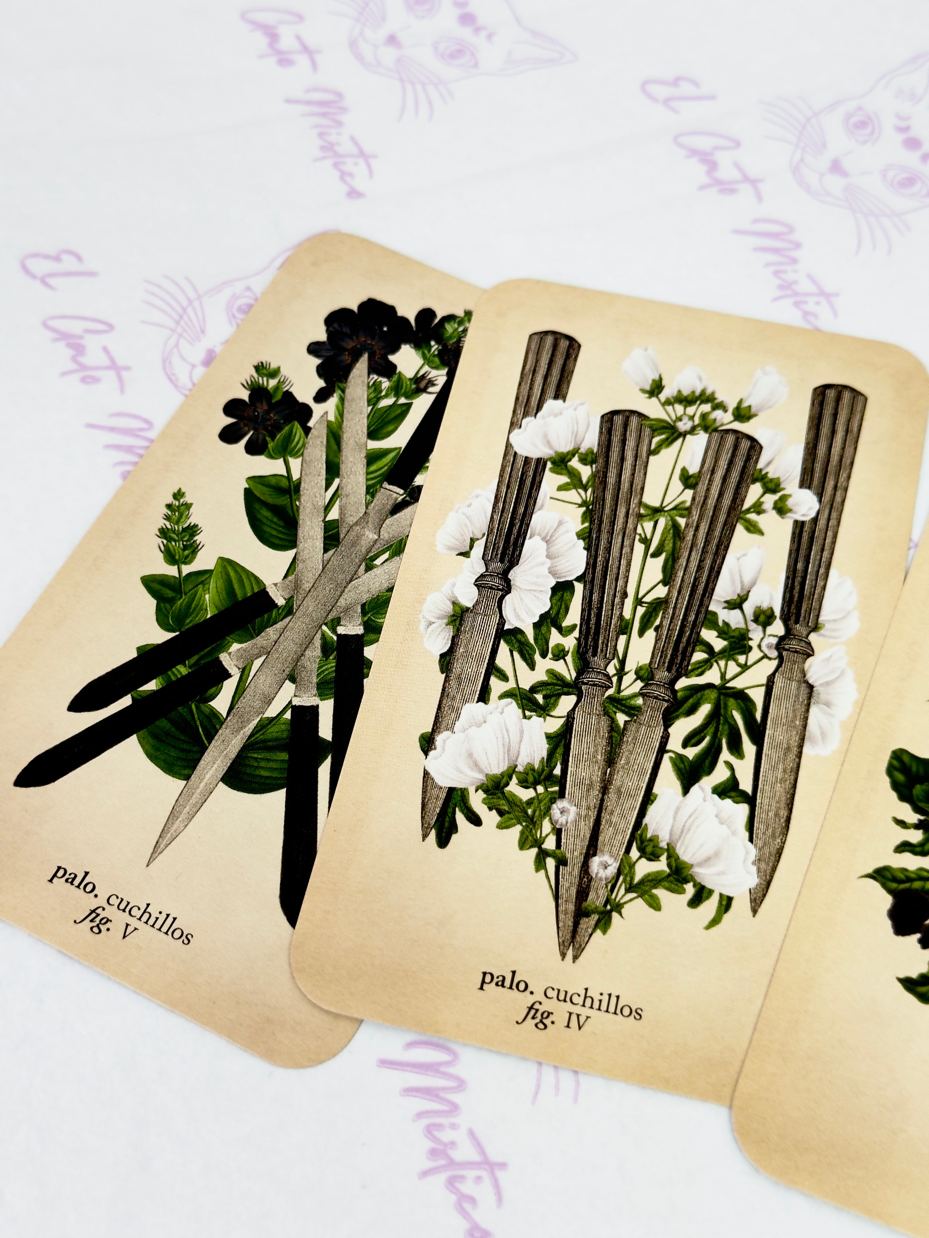 El Tarot de Anatomía y Botánica Antiguas | Baraja y Manual para el Lector Moderno