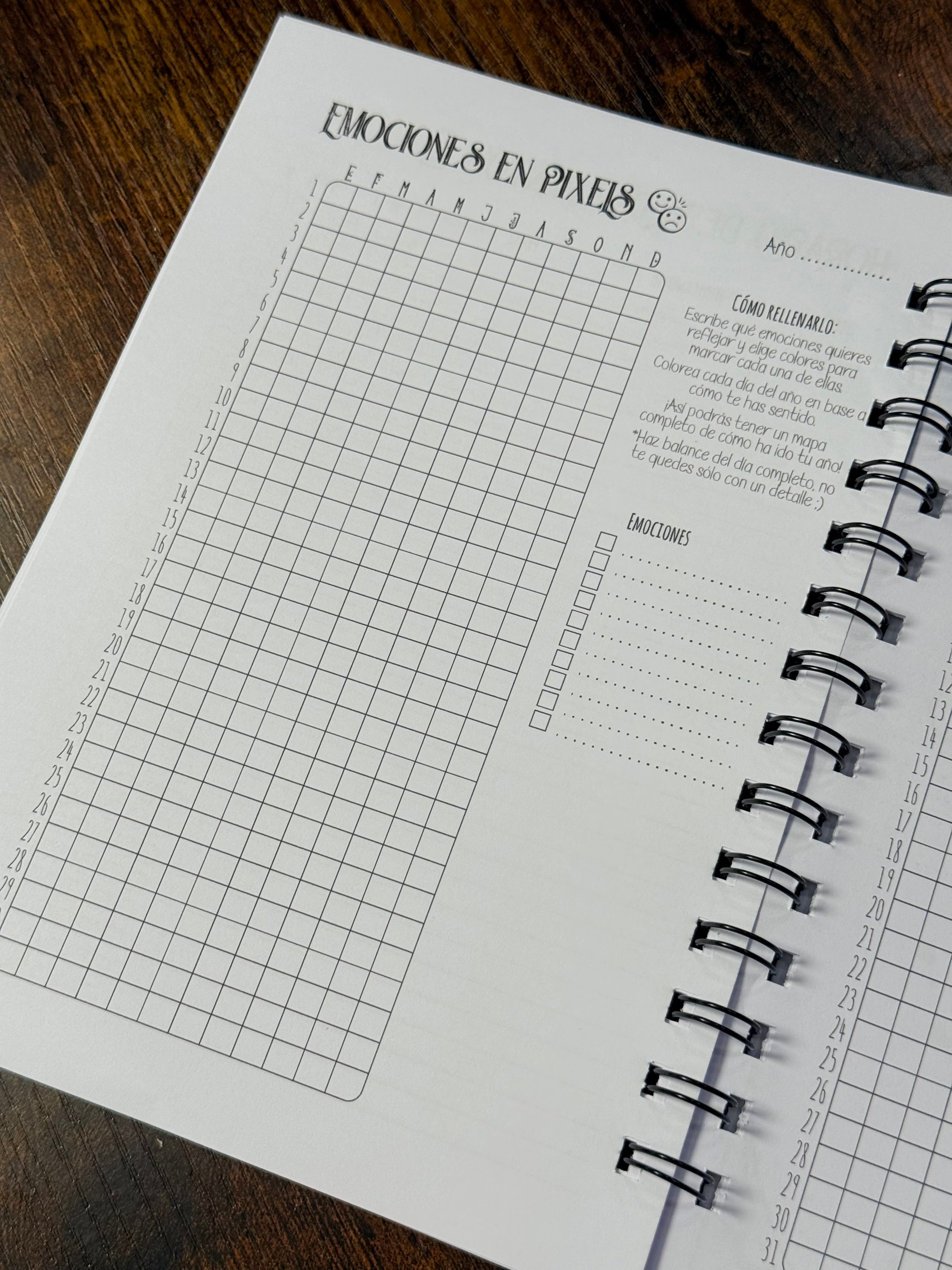 Agendas 2026 Stay Wild Moonchild | Año completo