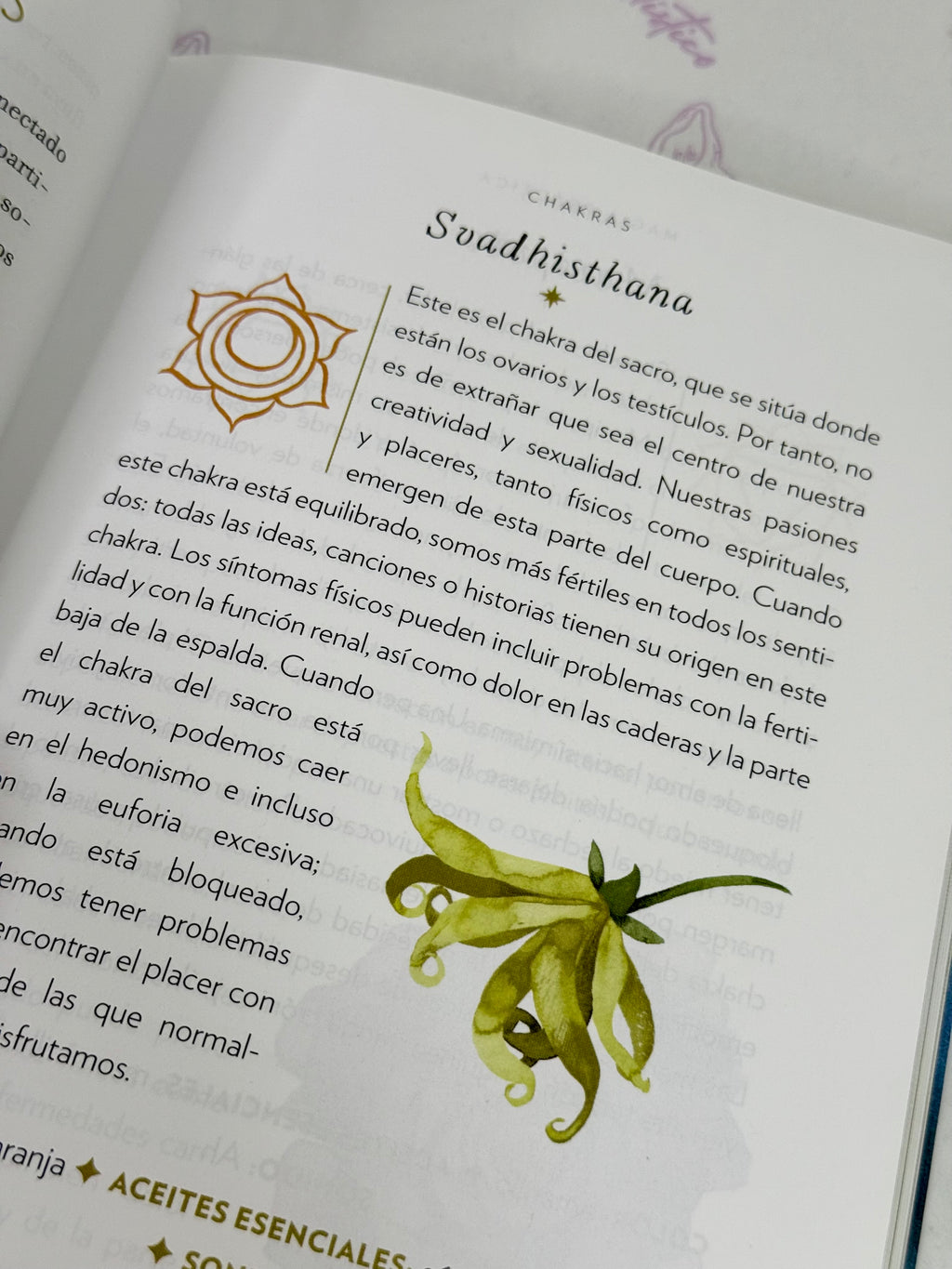 Magia Práctica | Una guía de iniciación a los Cristales, los Horóscopos, las Lecturas Psíquicas y los Hechizos