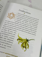 Magia Práctica | Una guía de iniciación a los Cristales, los Horóscopos, las Lecturas Psíquicas y los Hechizos