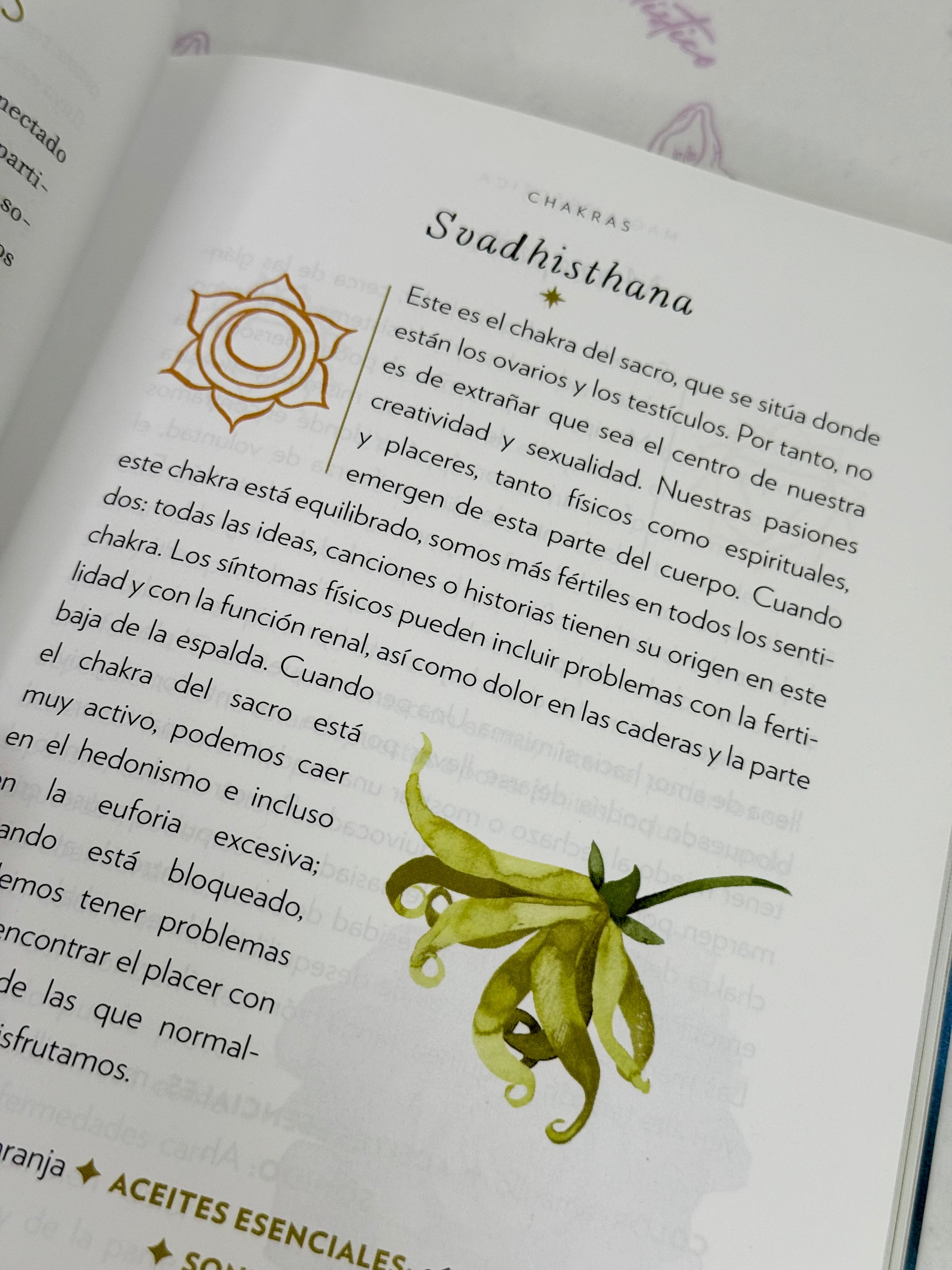 Magia Práctica | Una guía de iniciación a los Cristales, los Horóscopos, las Lecturas Psíquicas y los Hechizos