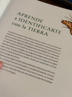 La Bruja Verde | Una mágica inmersión en el encanto de la brujería natural | Libro Ilustrado