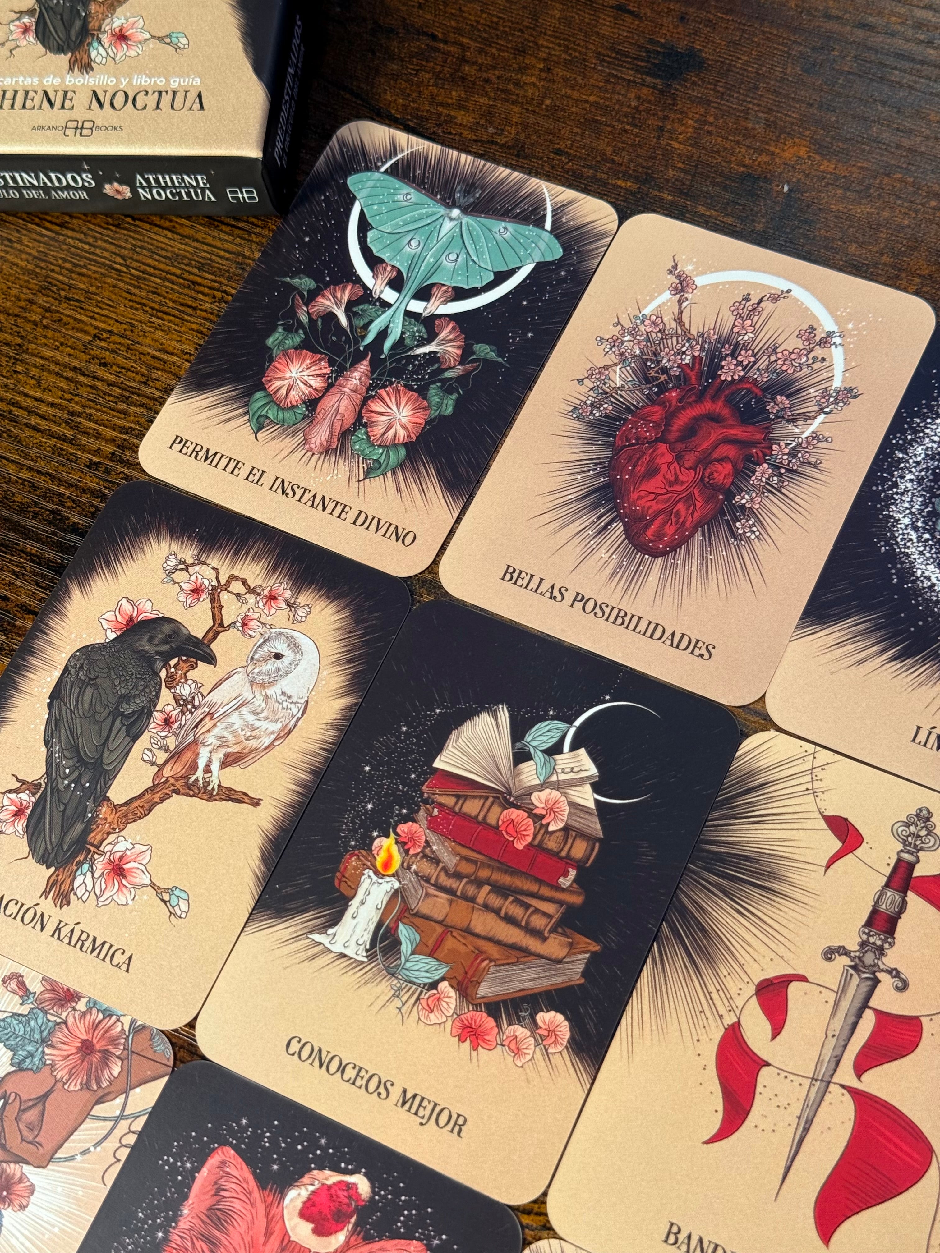 Predestinados | El Oráculo del Amor | Athene Noctua