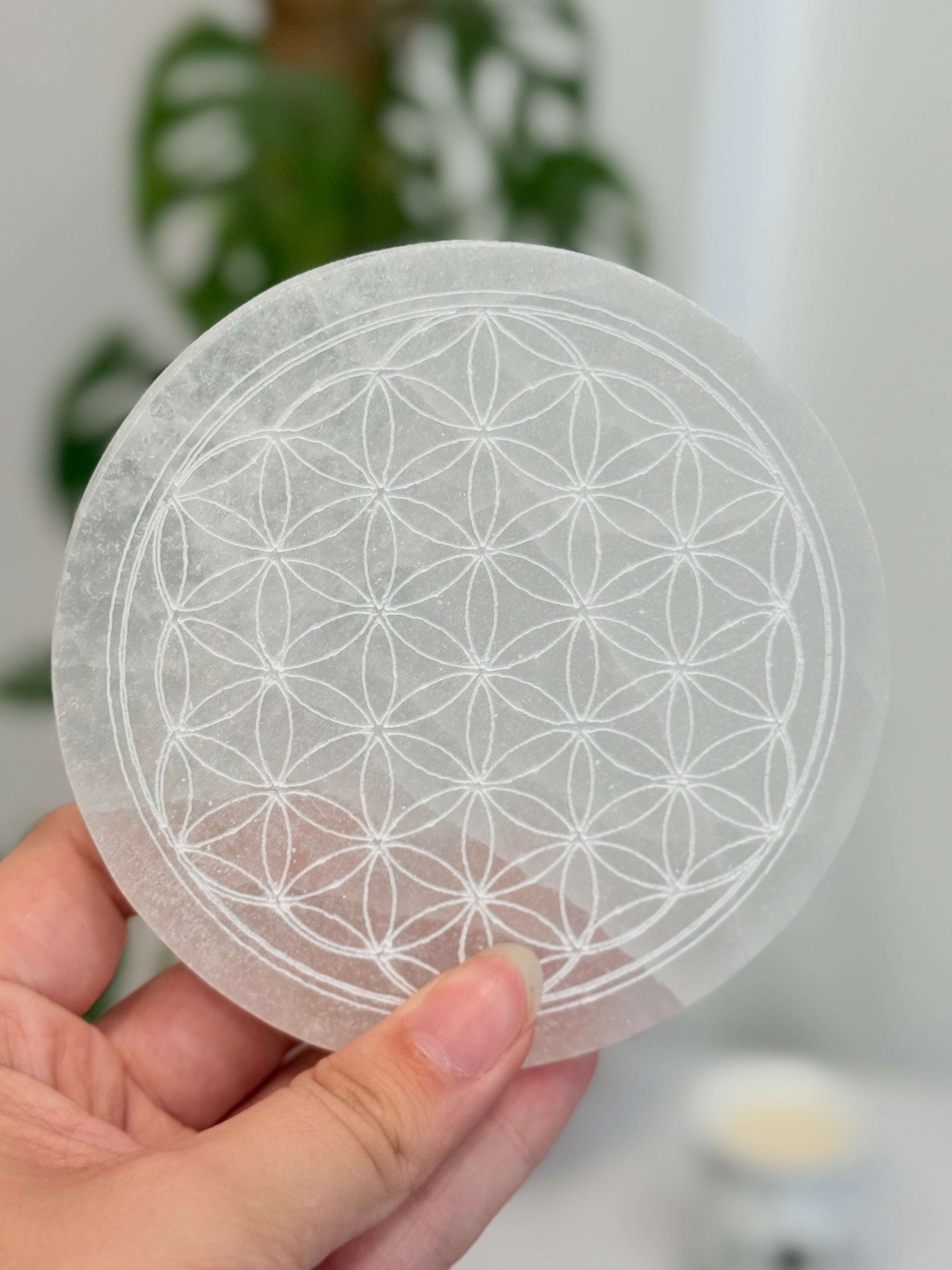 Placa de Selenita Flor de la Vida | Purificación y Armonía