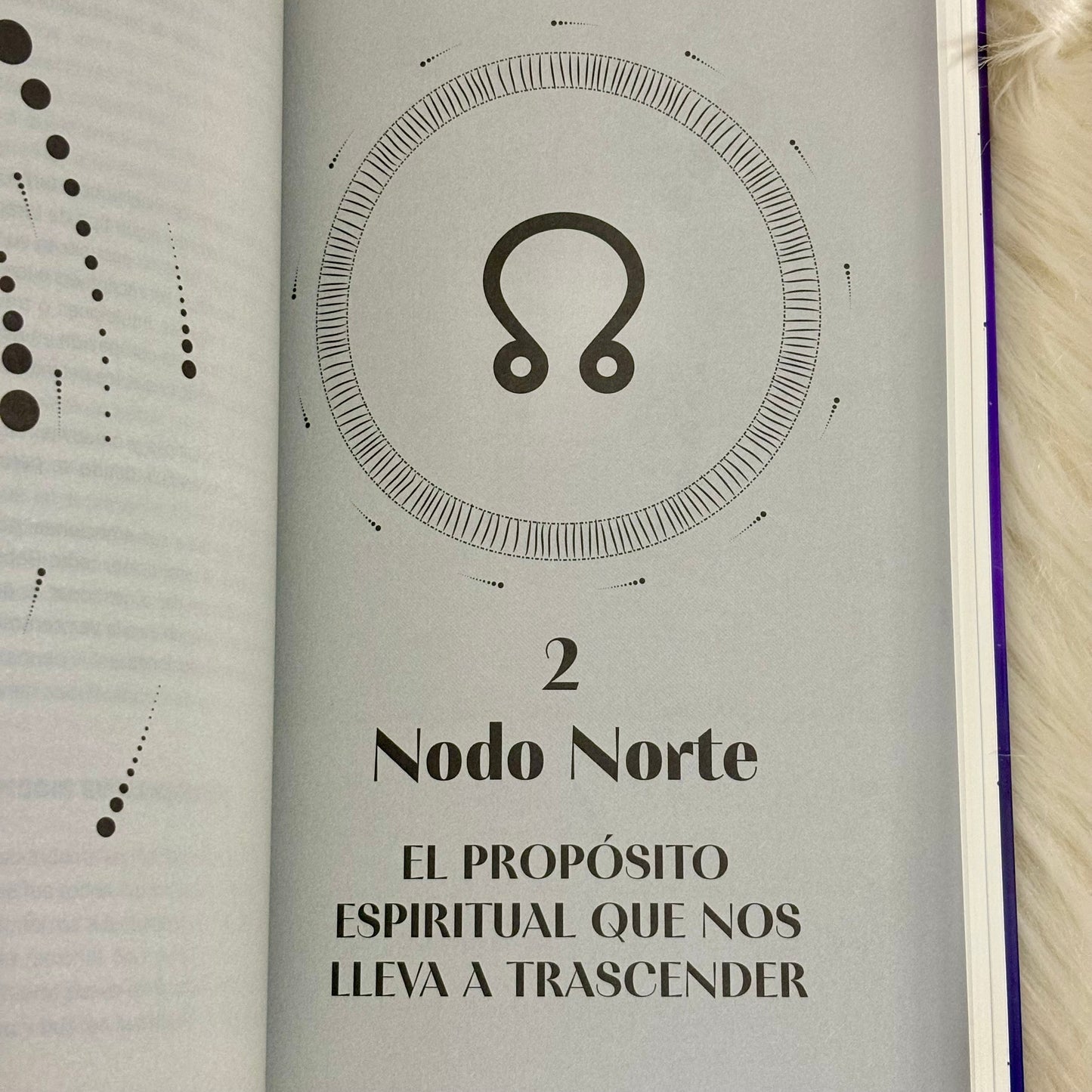 Descubre el Propósito de tu Alma: Encuentra el Sentido de tu Vida con tu Carta Natal