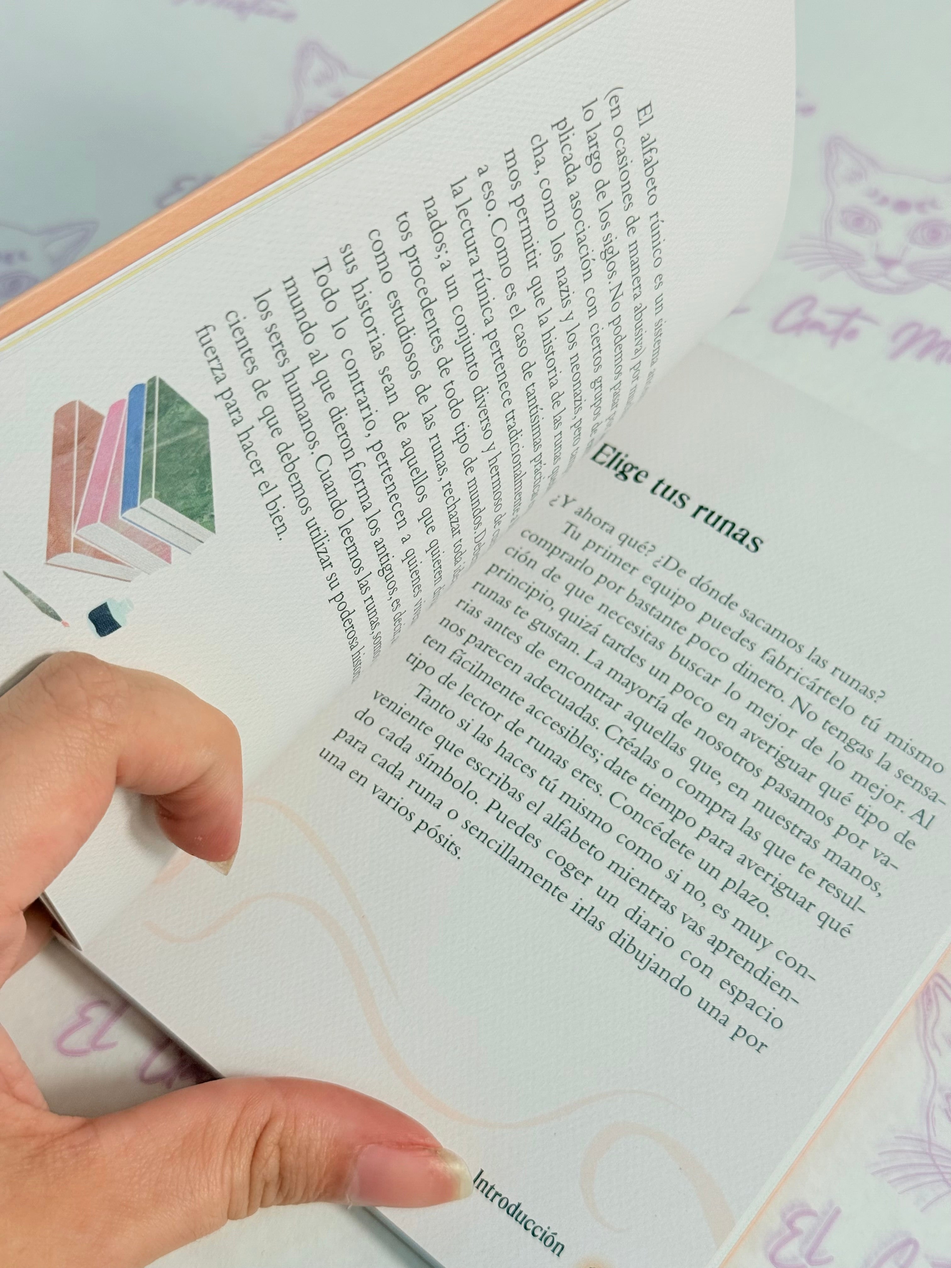 El pequeño Libro de las Runas