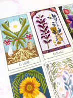 Tarot Floral | Guía + Cartas