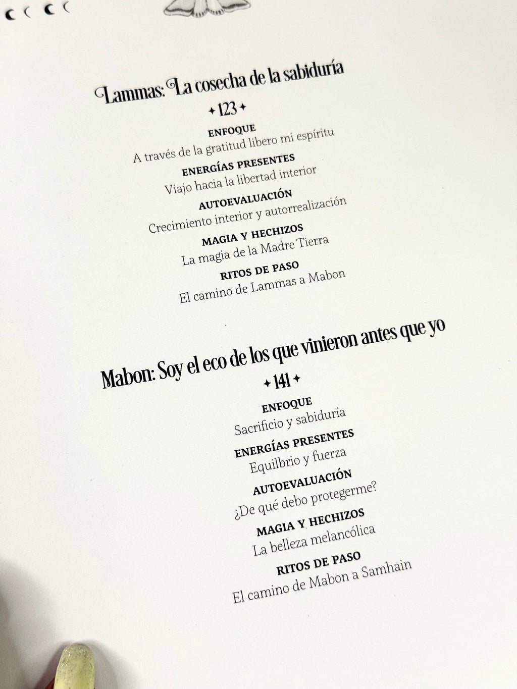 La Rueda del Año de la Bruja | Prácticas Mágicas y Festividades de Brujas