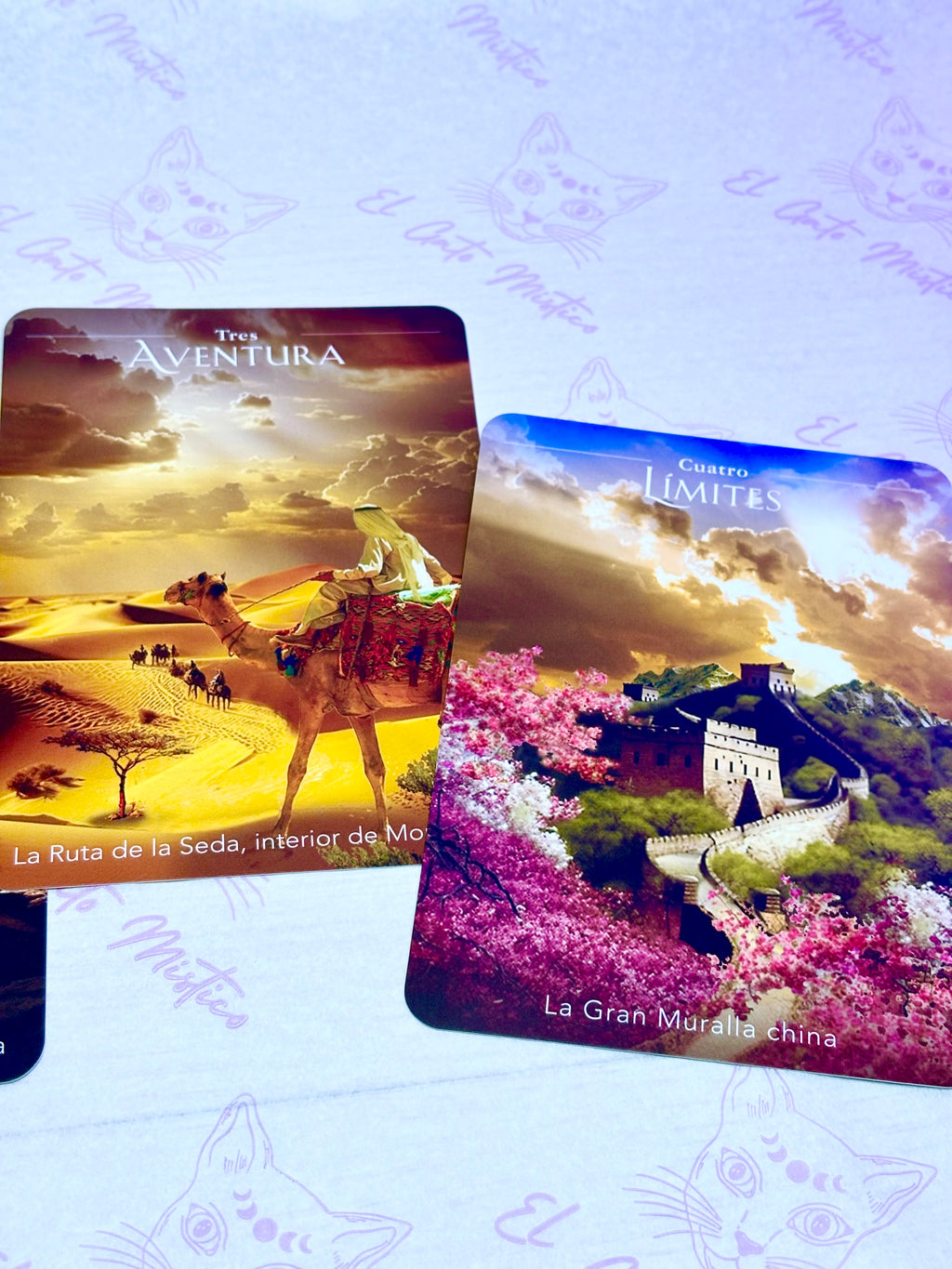 El viajero del tiempo | Oráculo