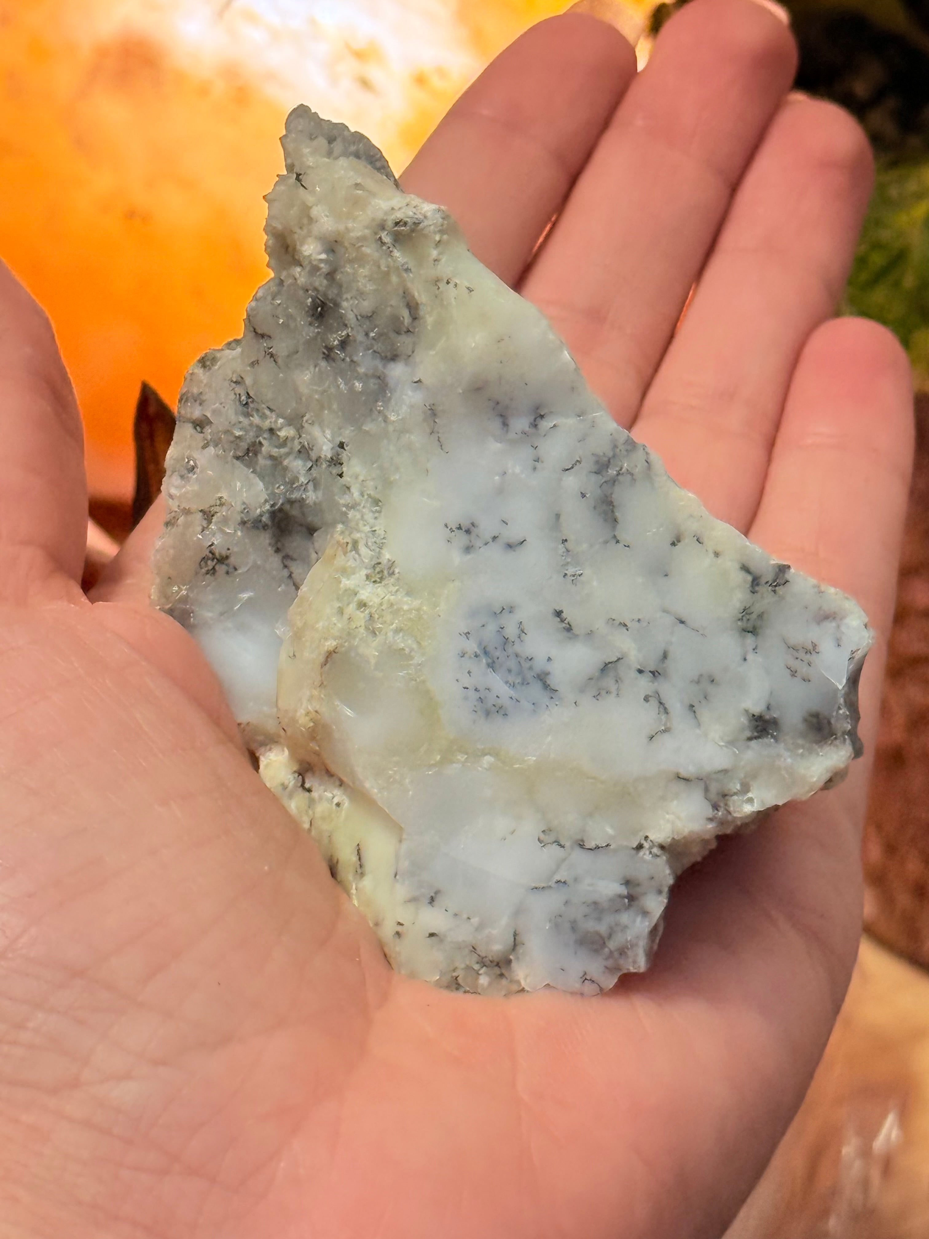 Ópalo Dendrítico en bruto | Armonía, Crecimiento y Transformación