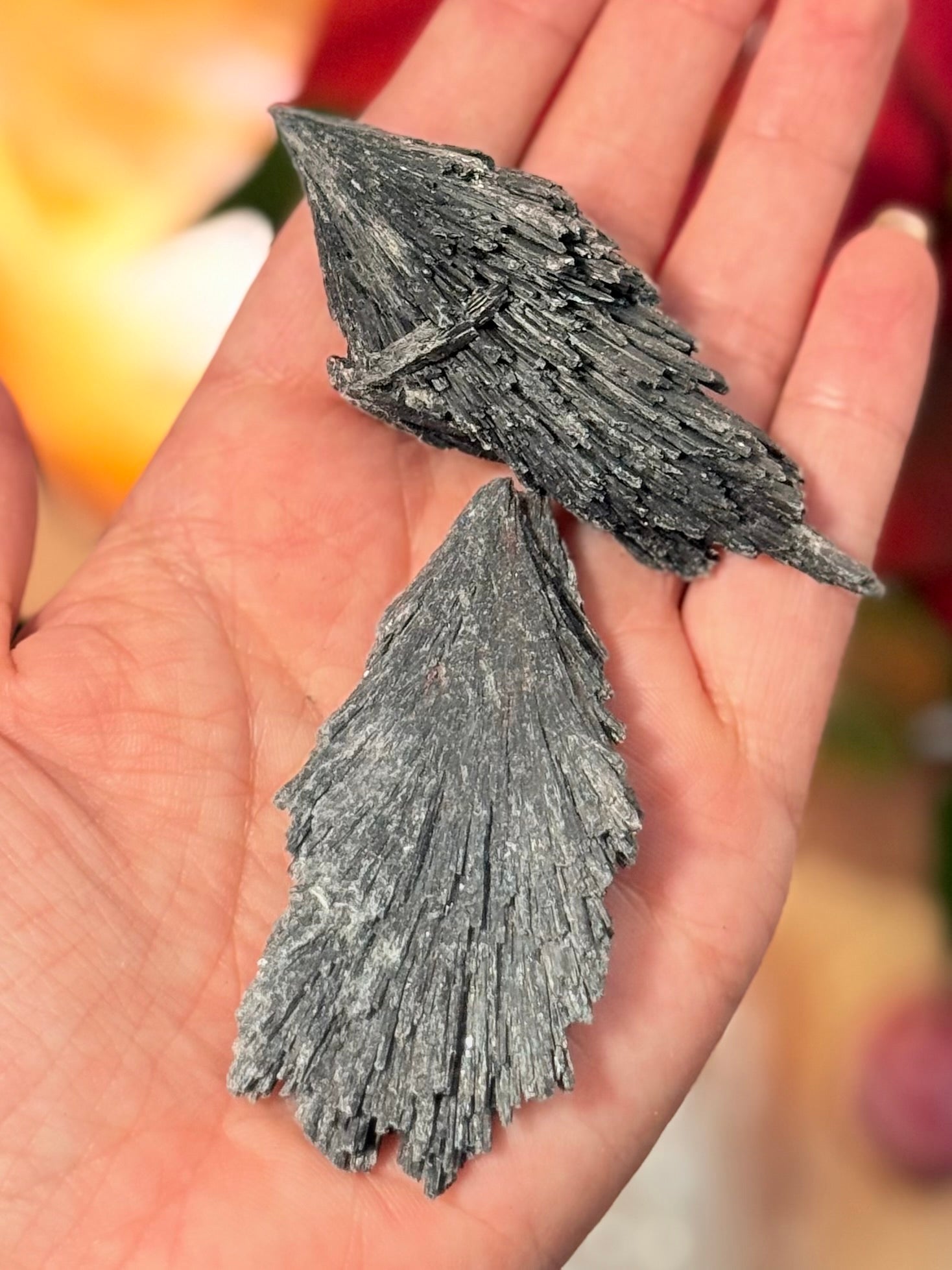 Cianita Negra | Escoba de Bruja | Limpieza Energética y Protección