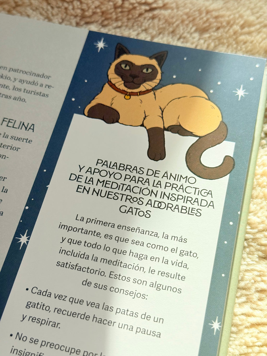 Gatos y Meditación | Guía de Ejercicios inspirados en los Felinos